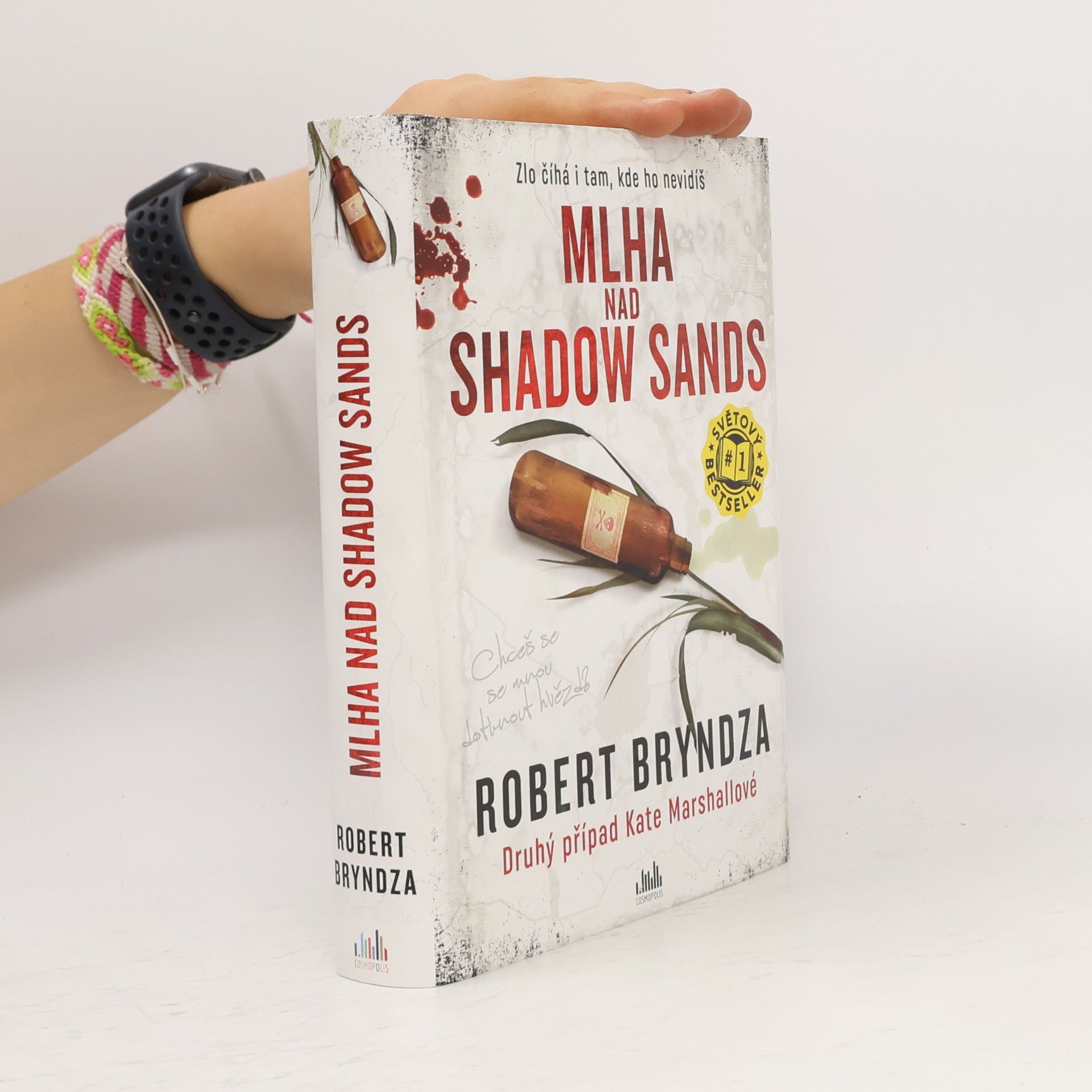 Robert Bryndza Mlha nad Shadow Sands