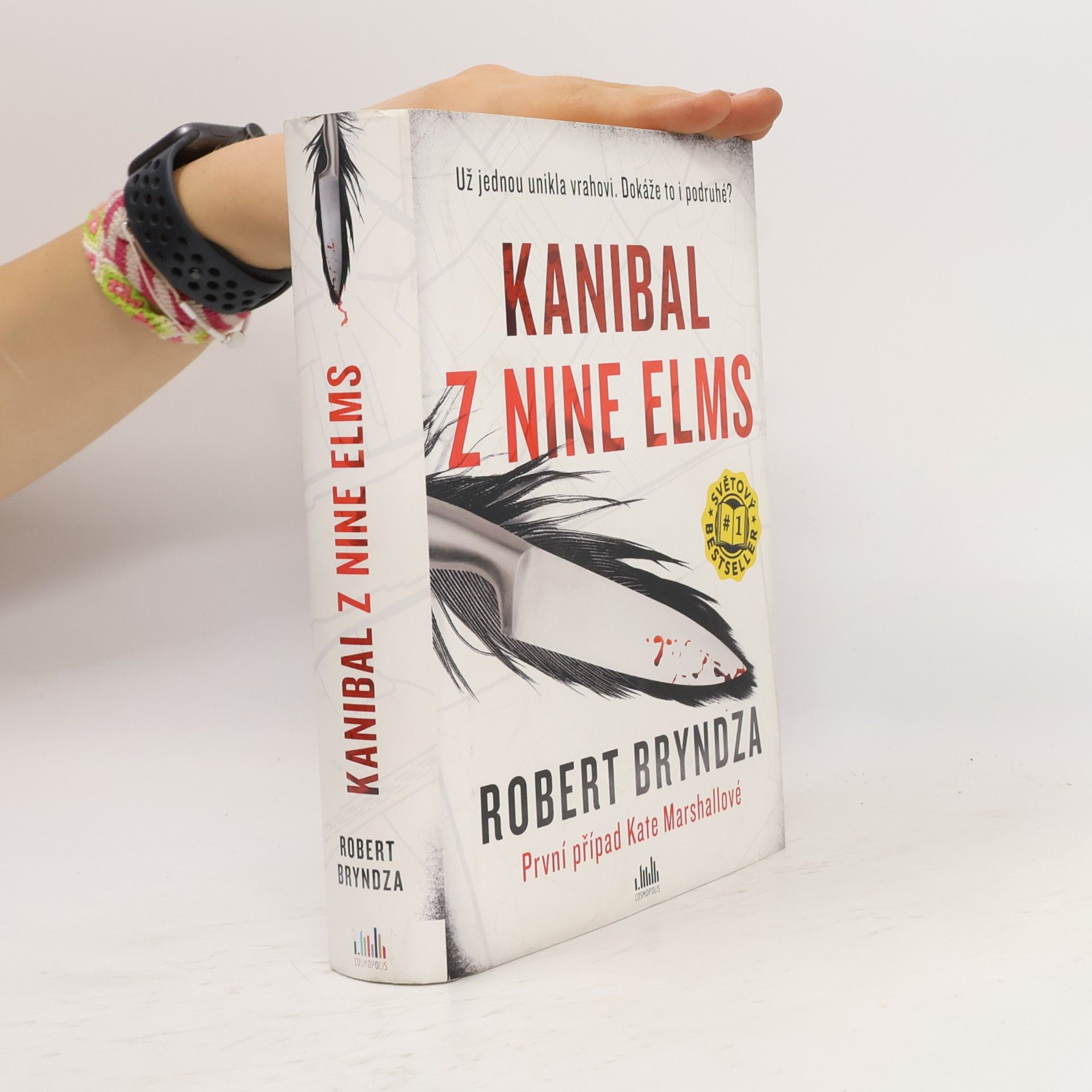Robert Bryndza Kanibal z Nine Elms