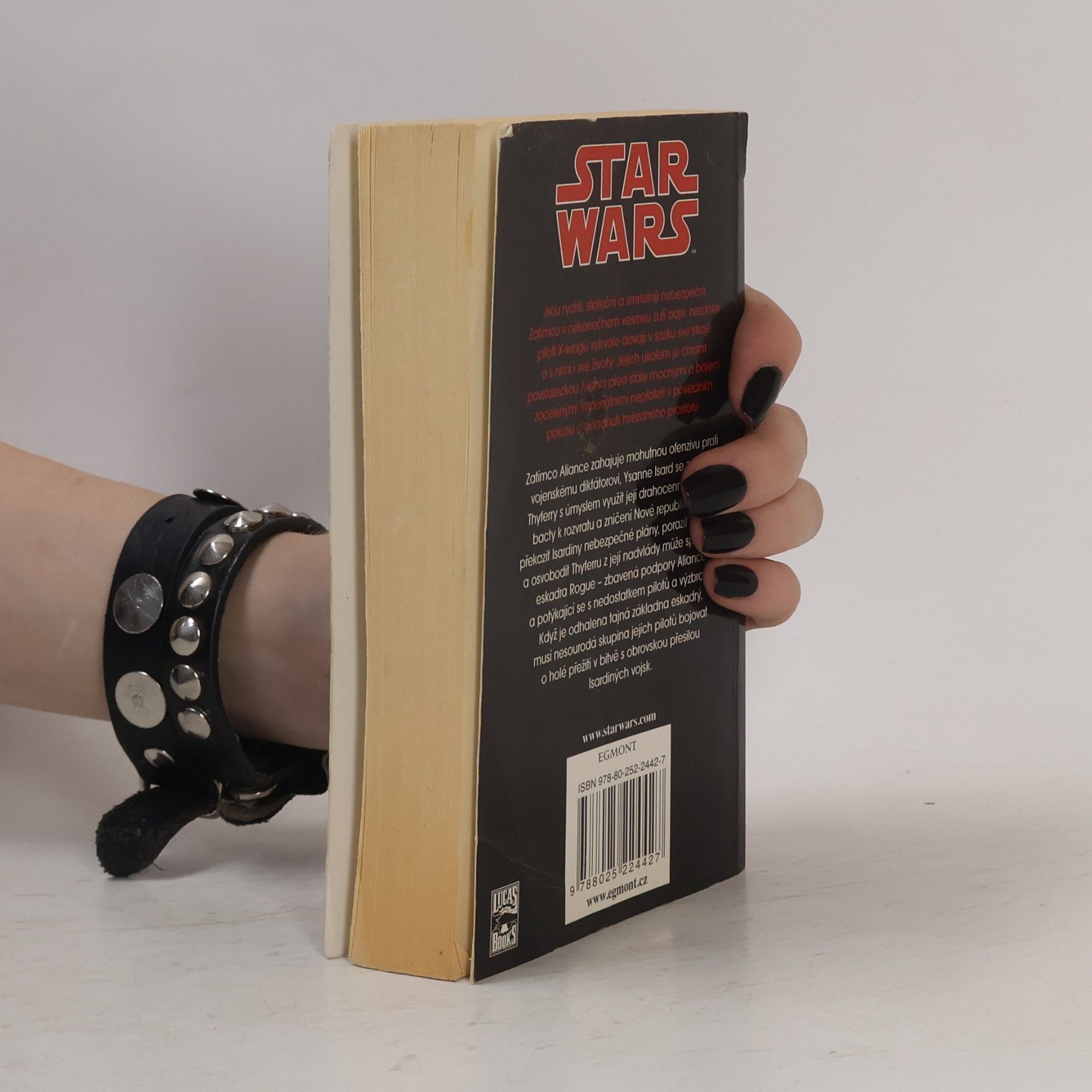 Michael A. Stackpole Star Wars: X-Wing. Kniha čtvrtá, Bactová válka