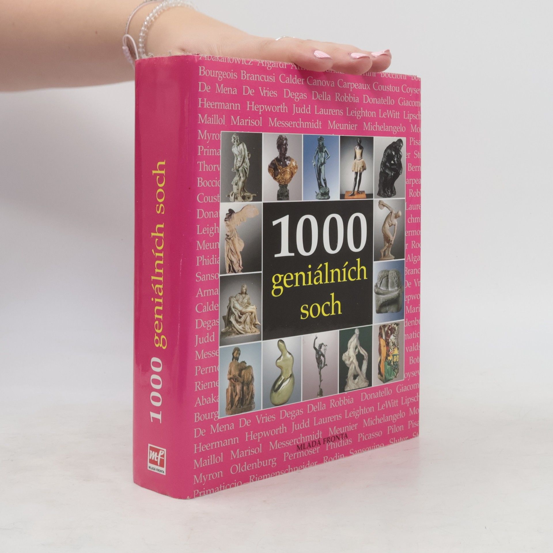 Sarah Costello 1000 geniálních soch