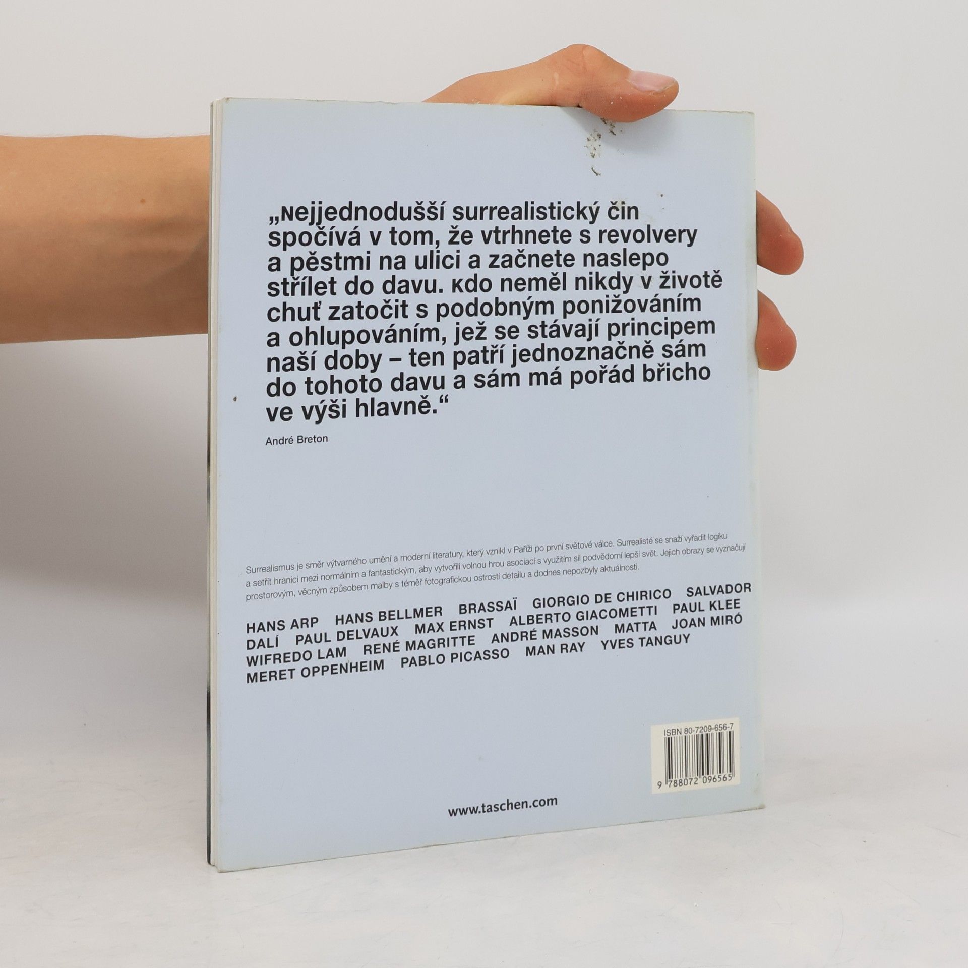 Cathrin Klingsöhr-Leroy Surrealismus