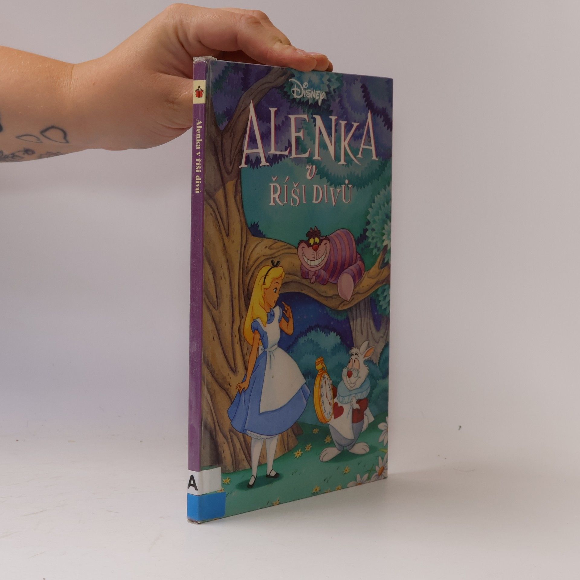 Autorenkollektiv Alenka v říši divů
