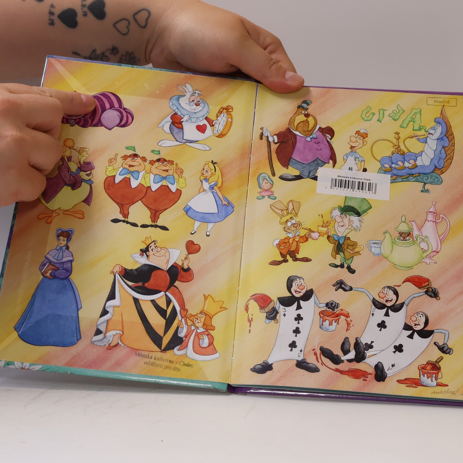 Autorenkollektiv Alenka v říši divů