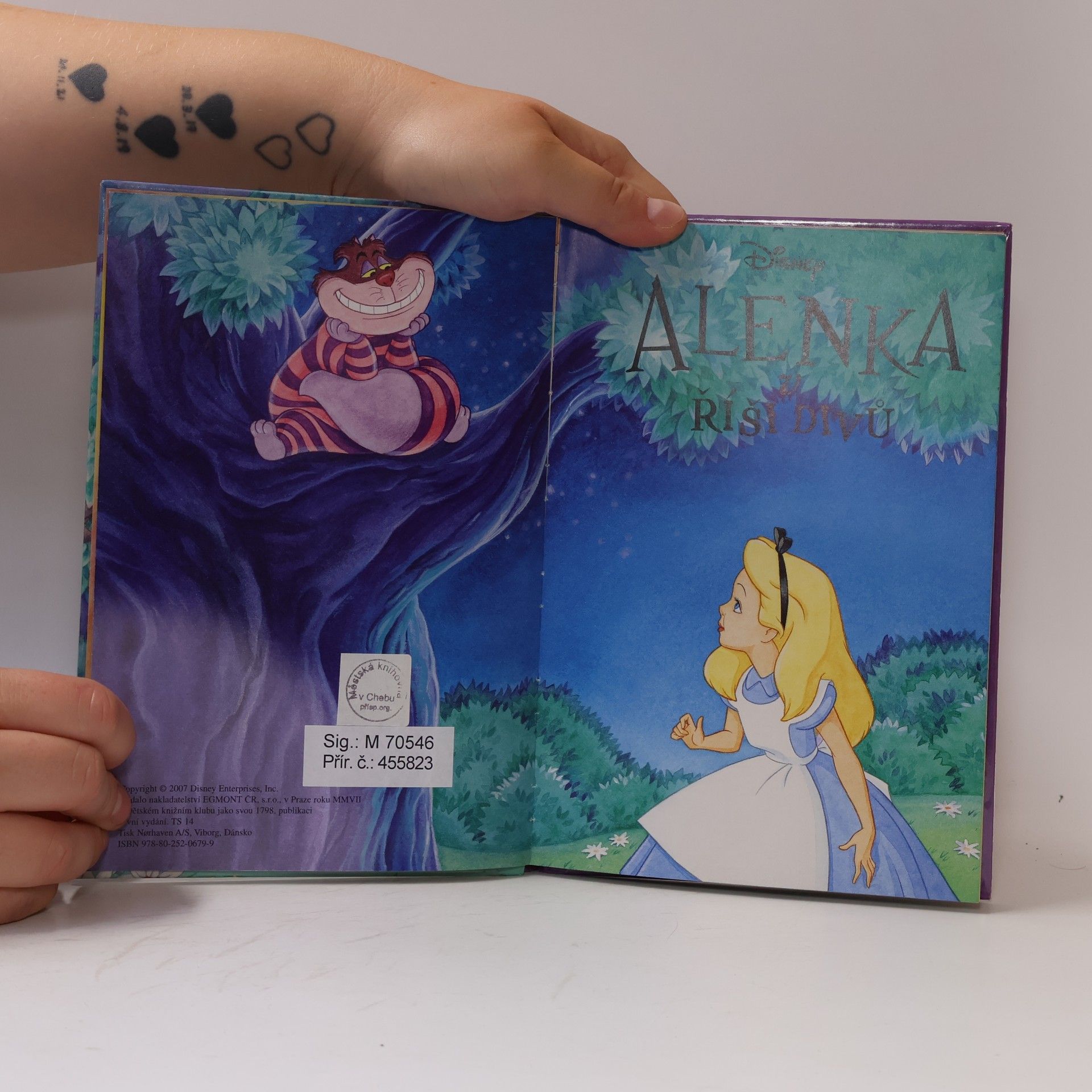 Autorenkollektiv Alenka v říši divů