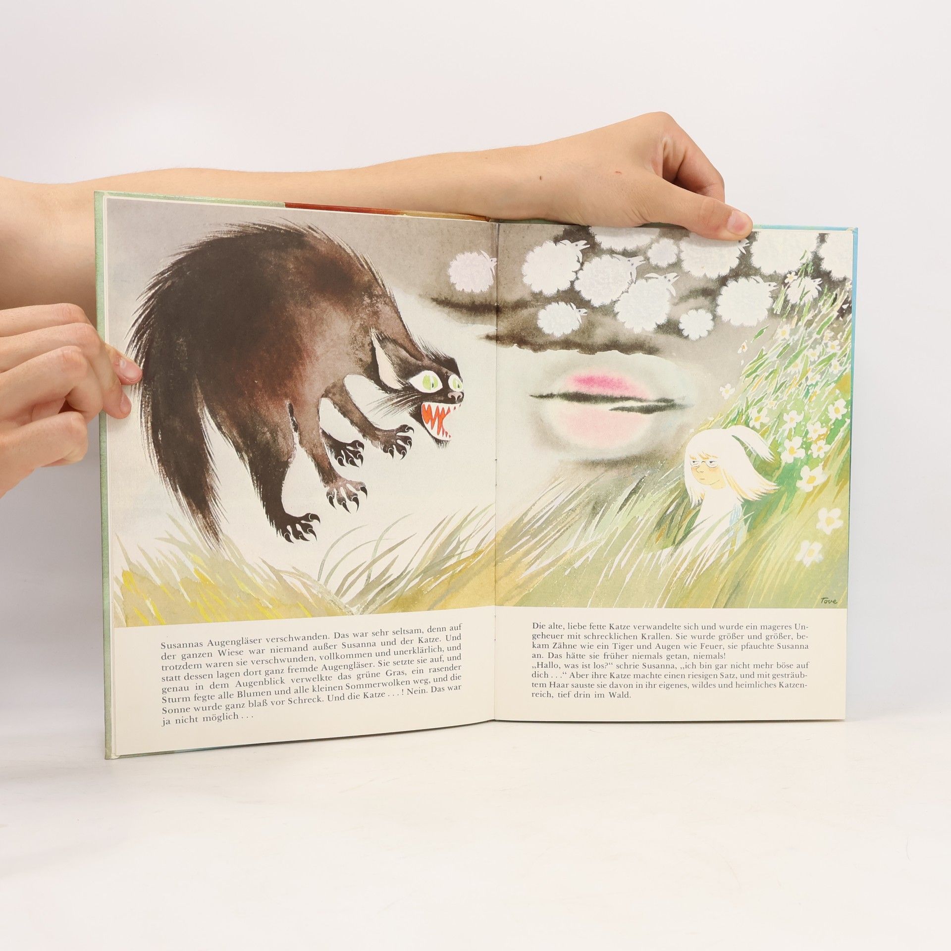 Tove Jansson Die Gefährliche Reise