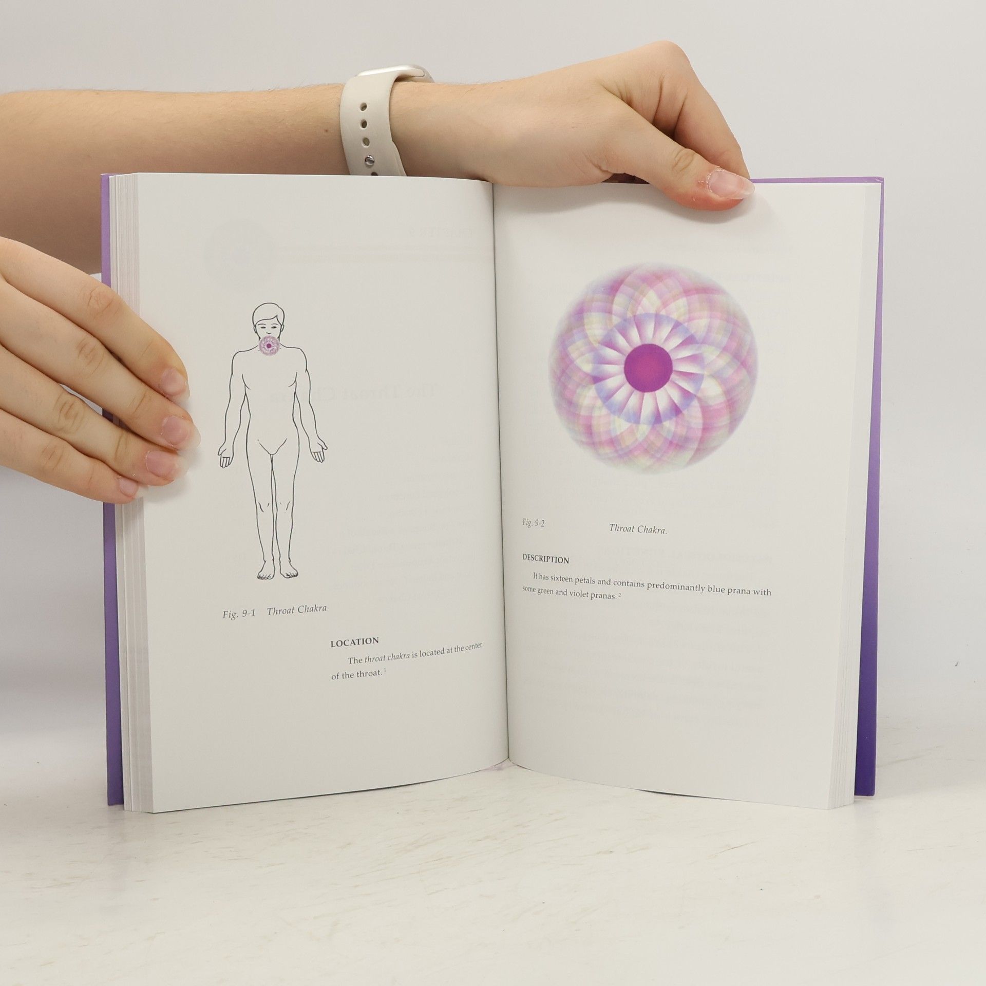 Master Choa Kok Sui Chakras And Their Functions