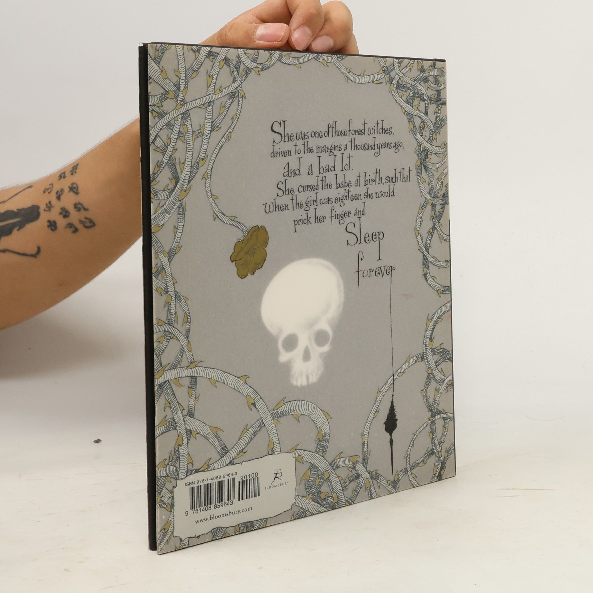 Neil Gaiman The sleeper and the spindle