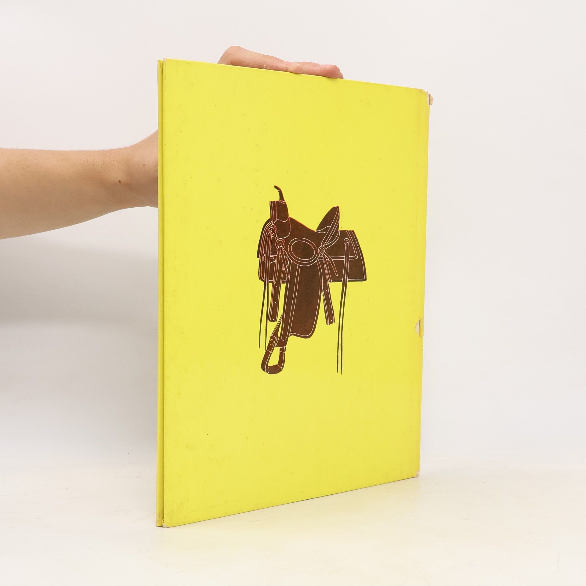 Sydney E. Fletcher The Big Book of Cowboys