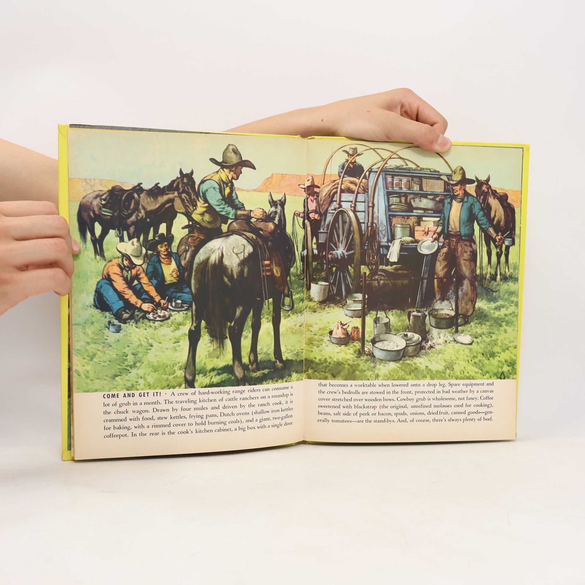 Sydney E. Fletcher The Big Book of Cowboys