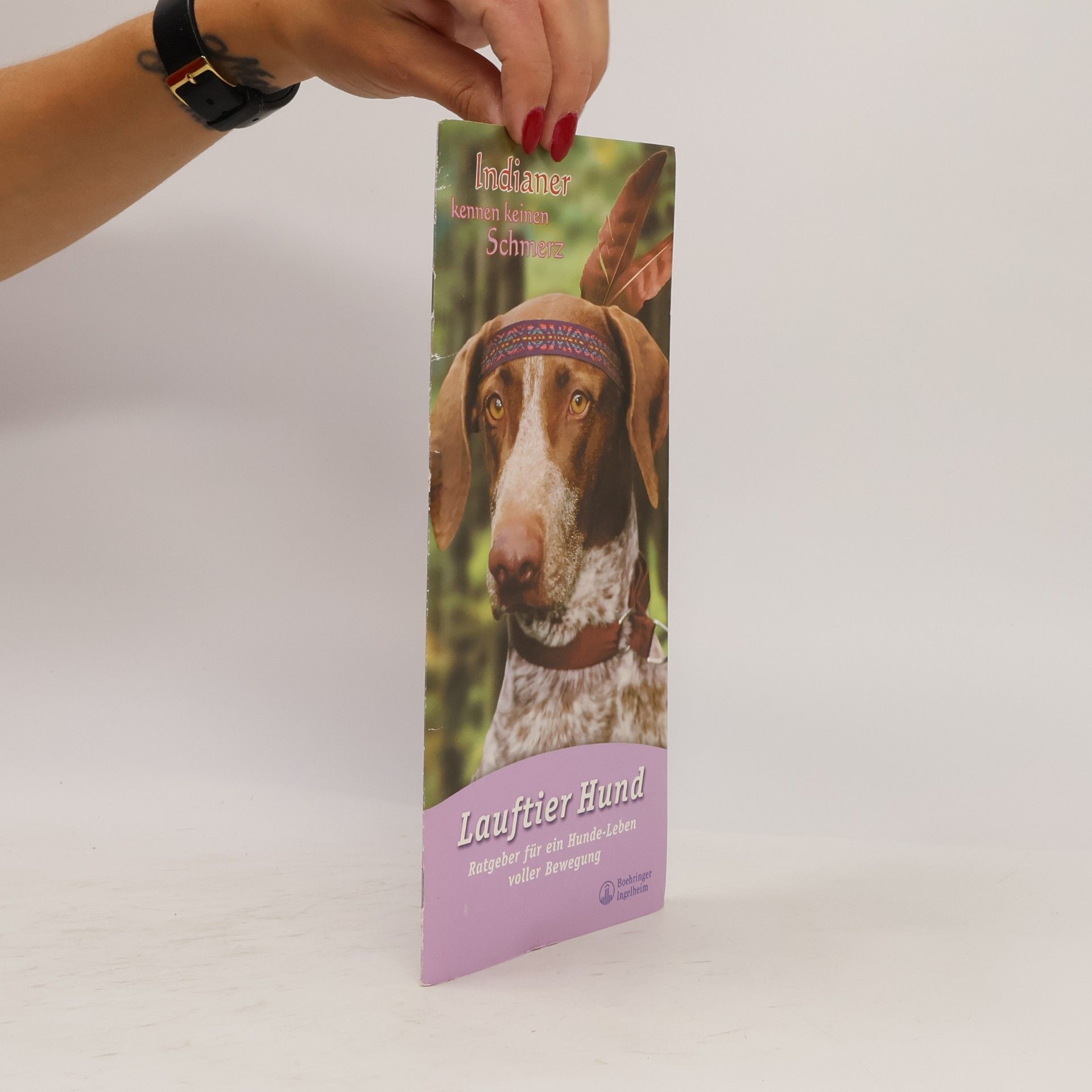 kolektiv Lauftier Hund