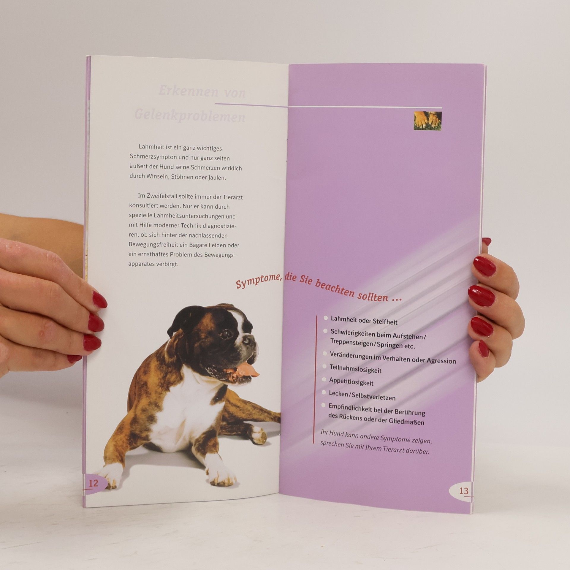kolektiv Lauftier Hund