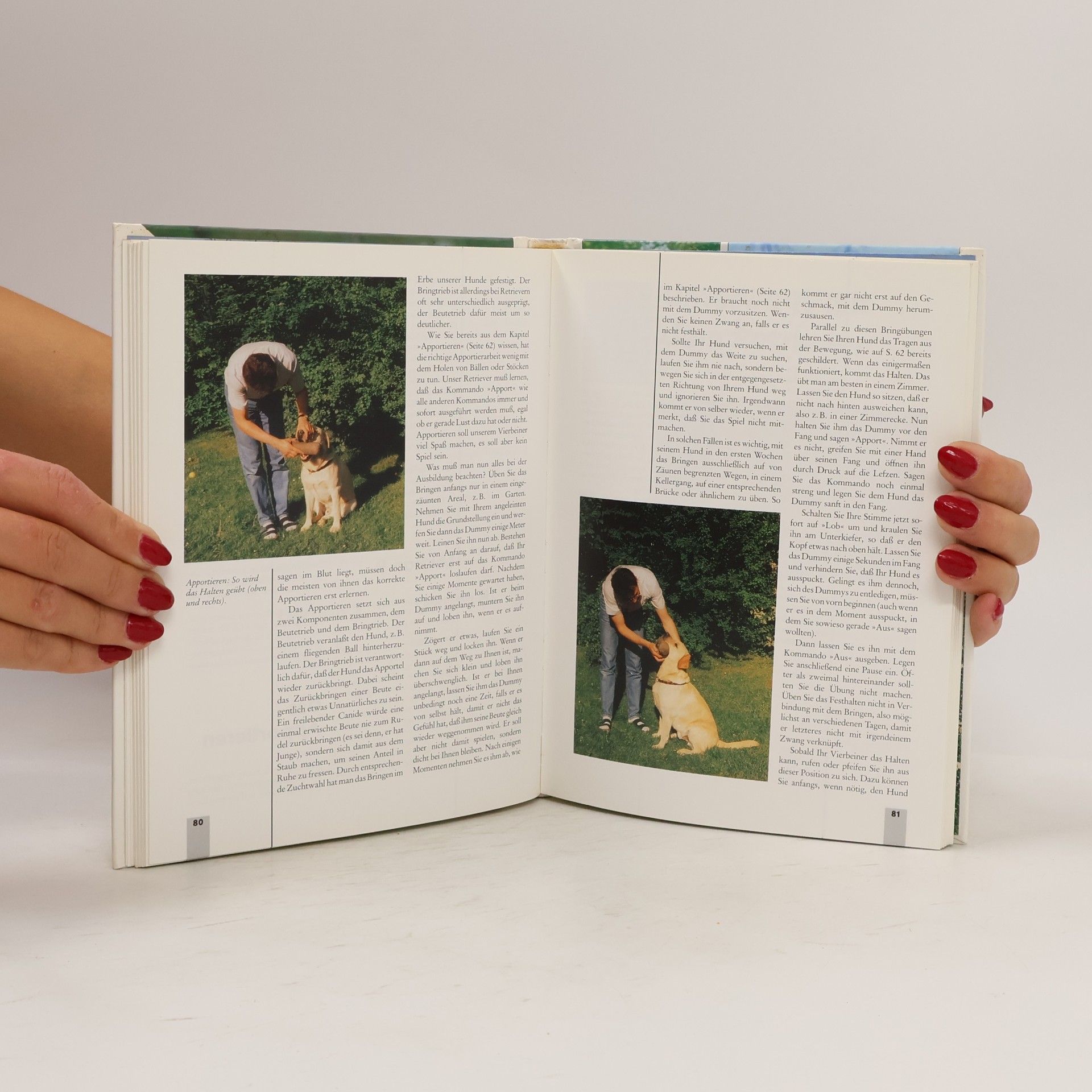 Katharina Schleg Kofler Retriever