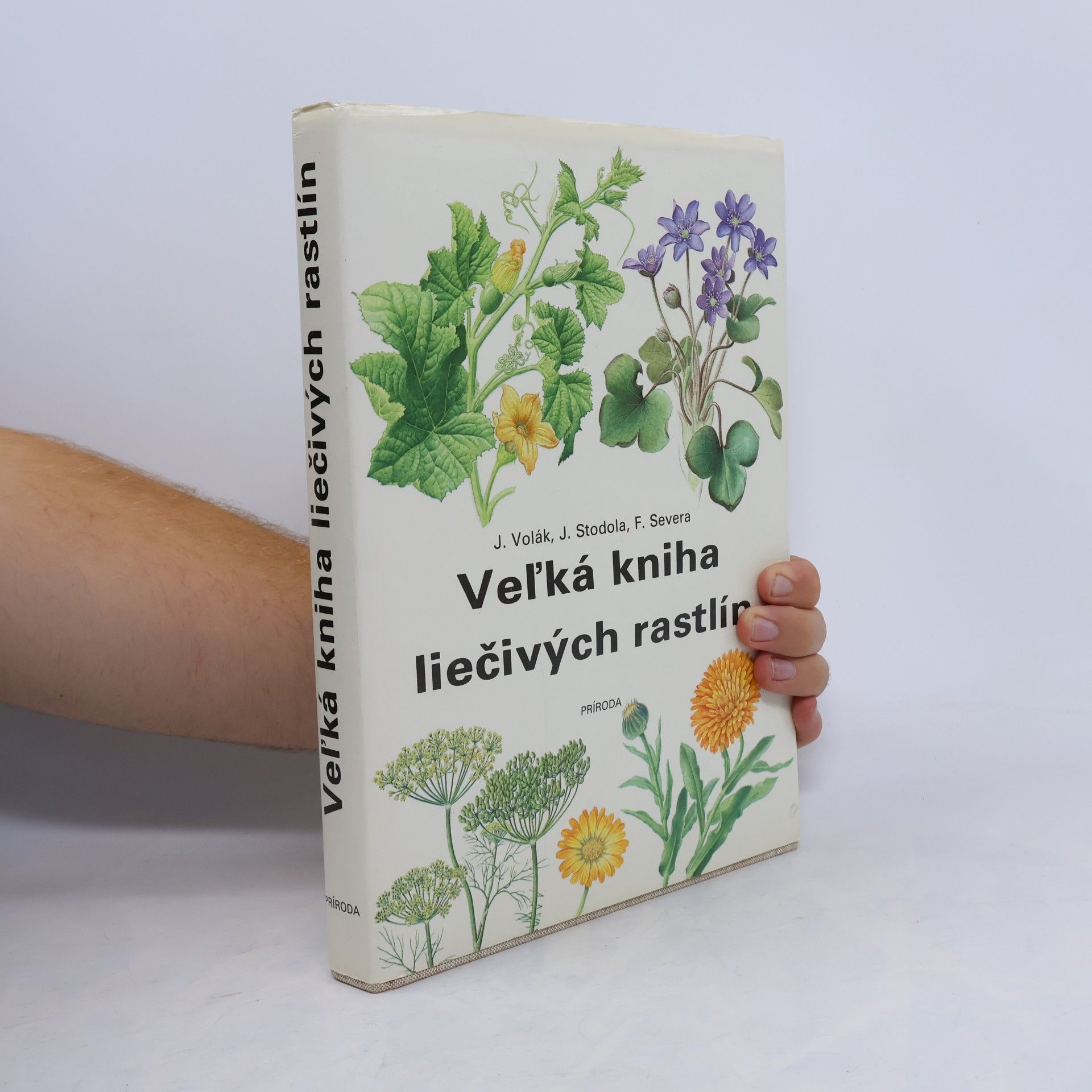 Veľká kniha liečivých rastlín