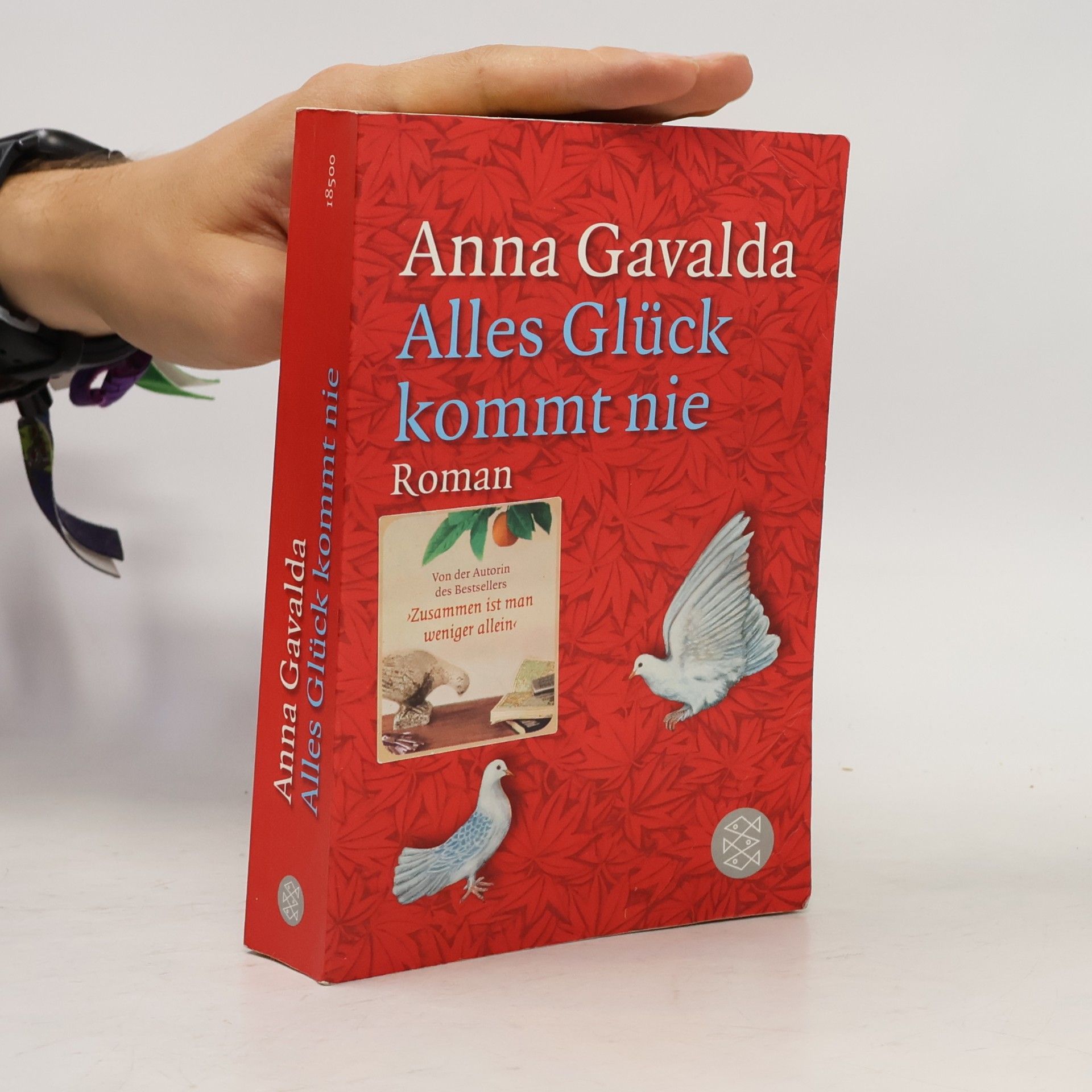 Anna Gavalda Alles Glück kommt nie