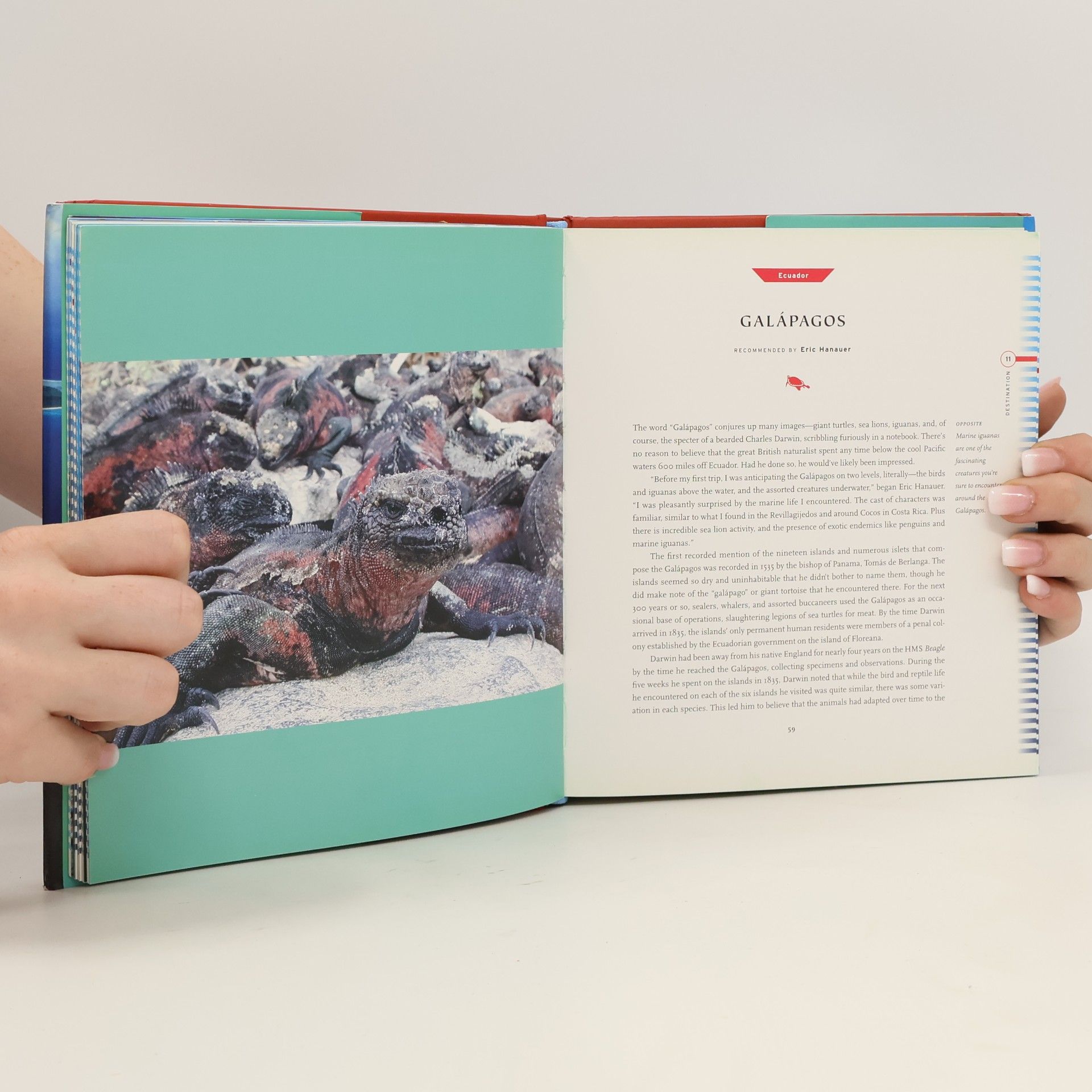 Chris Santella Fifty Places to Dive Before You Die. 50 Einmalige Orte zum Tauchen, Englische Ausgabe