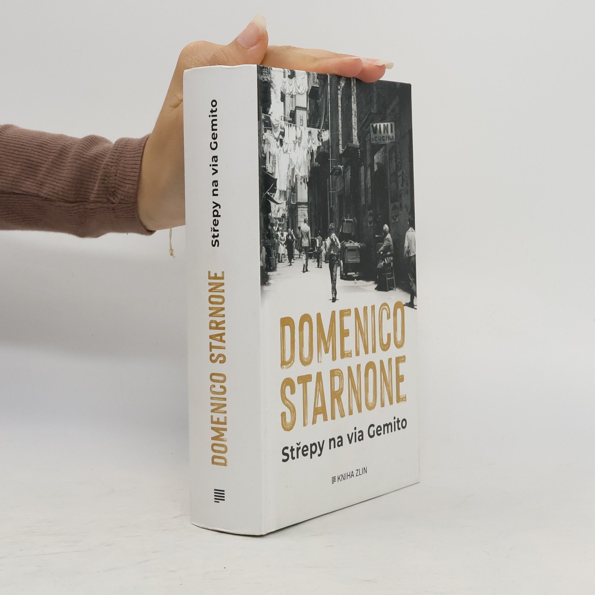 Domenico Starnone Střepy na via Gemito
