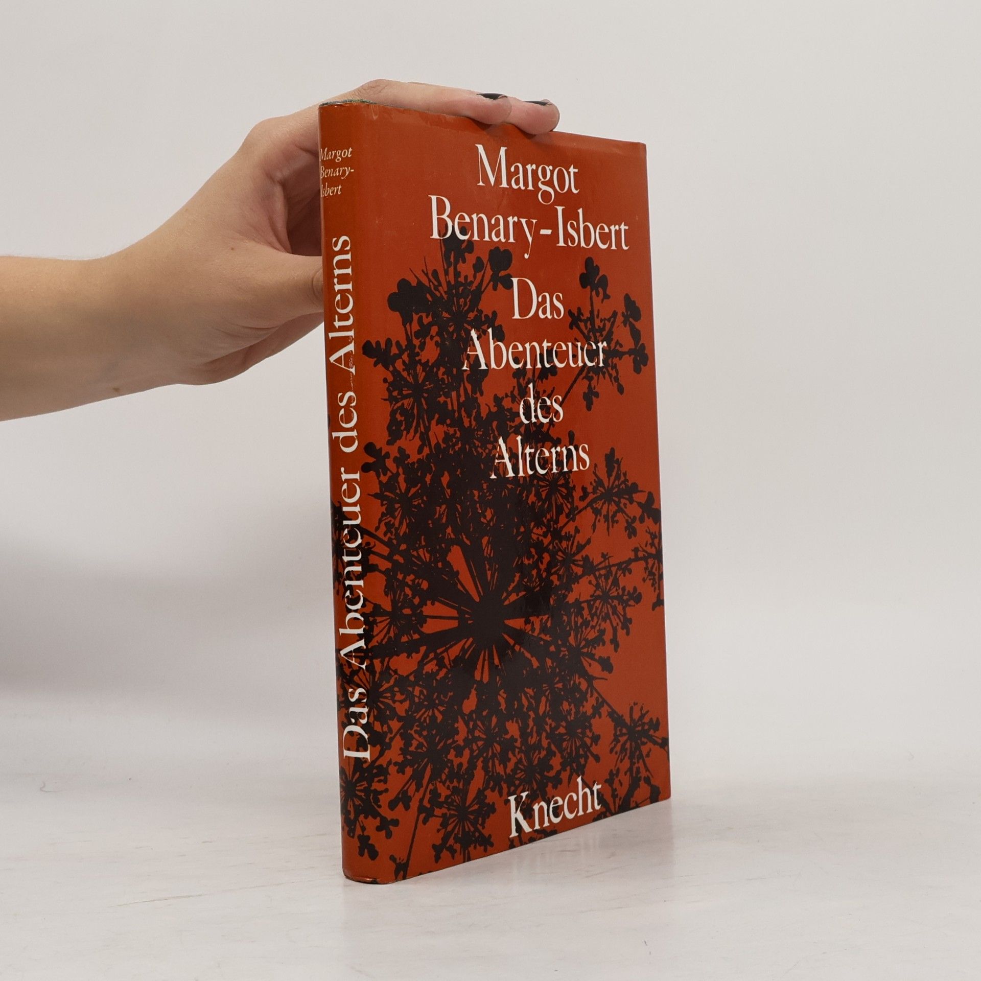 Margot Benary-Isbert Das Abenteuer des Alterns. Großdruck.