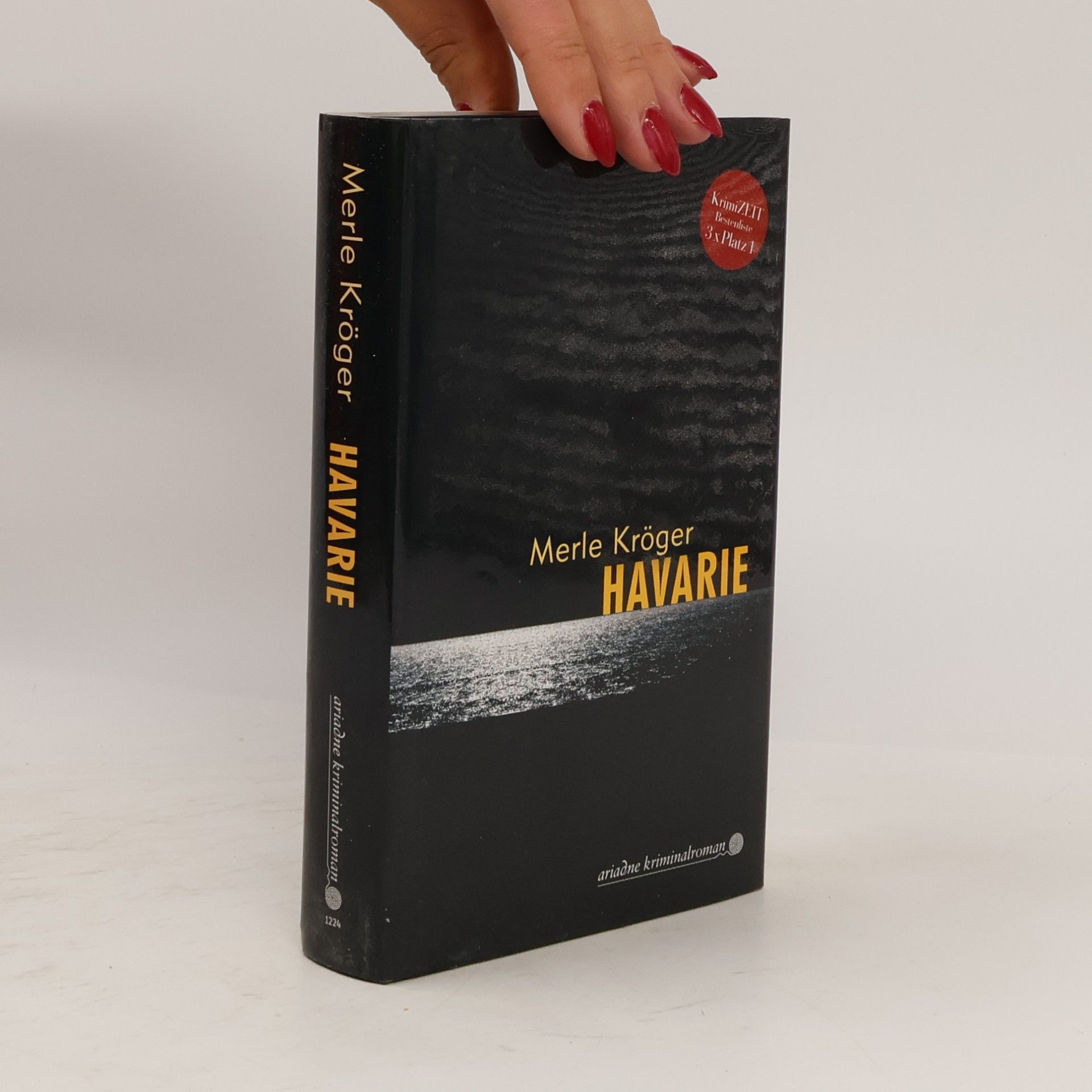 Merle Kröger Havarie