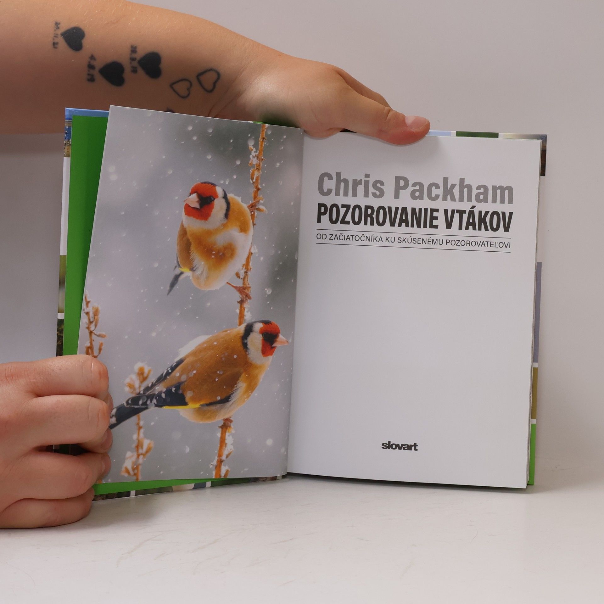 Chris Packham Pozorovanie vtákov