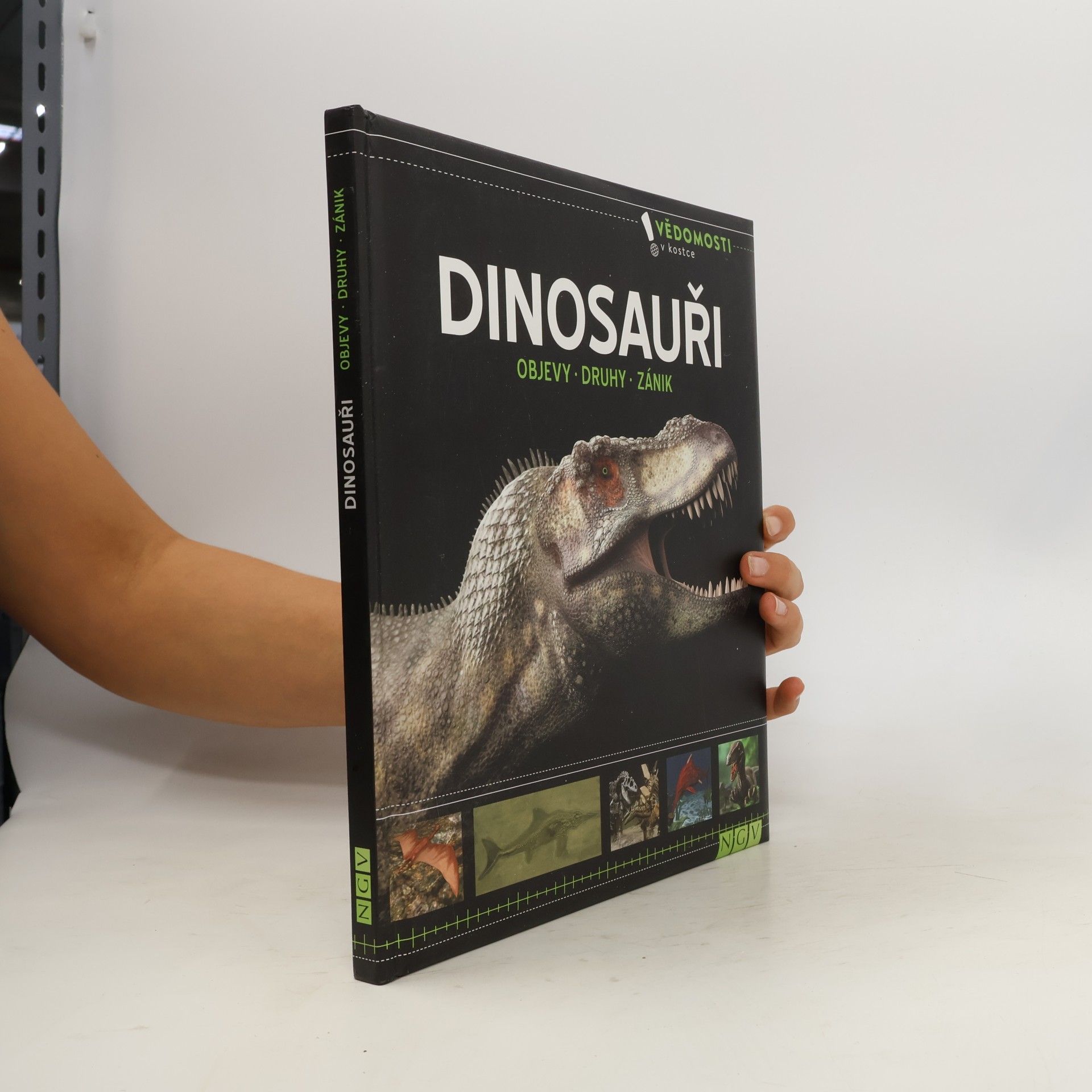 kolektiv Dinosauři