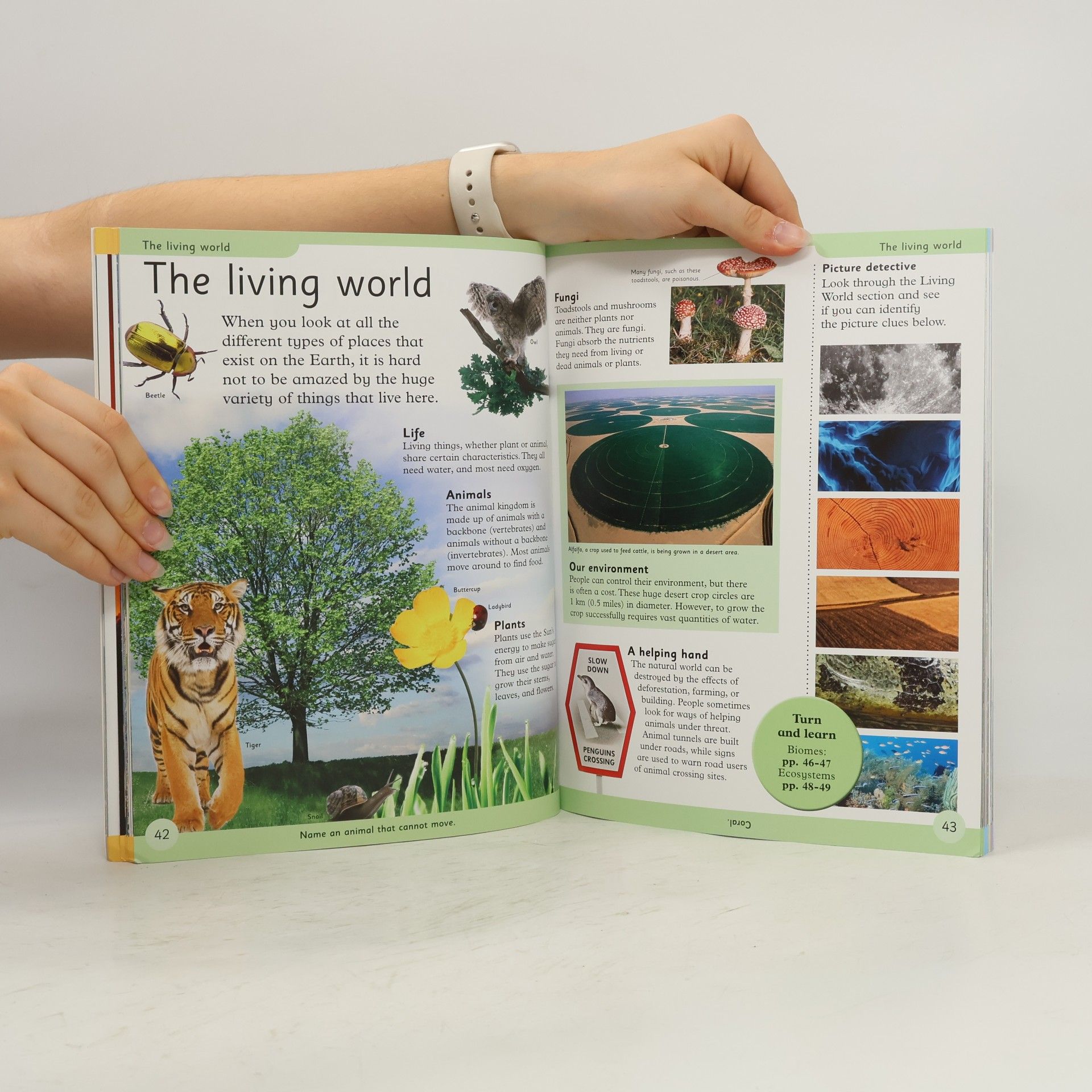 Wendy Horobin First Earth Encyclopedia