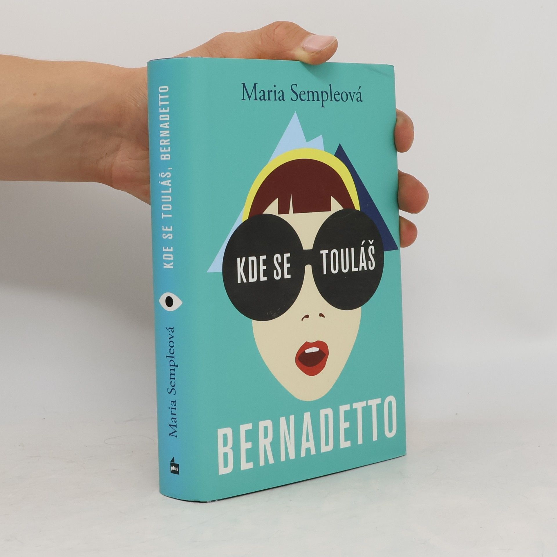 Maria Semple Kde se touláš, Bernadetto