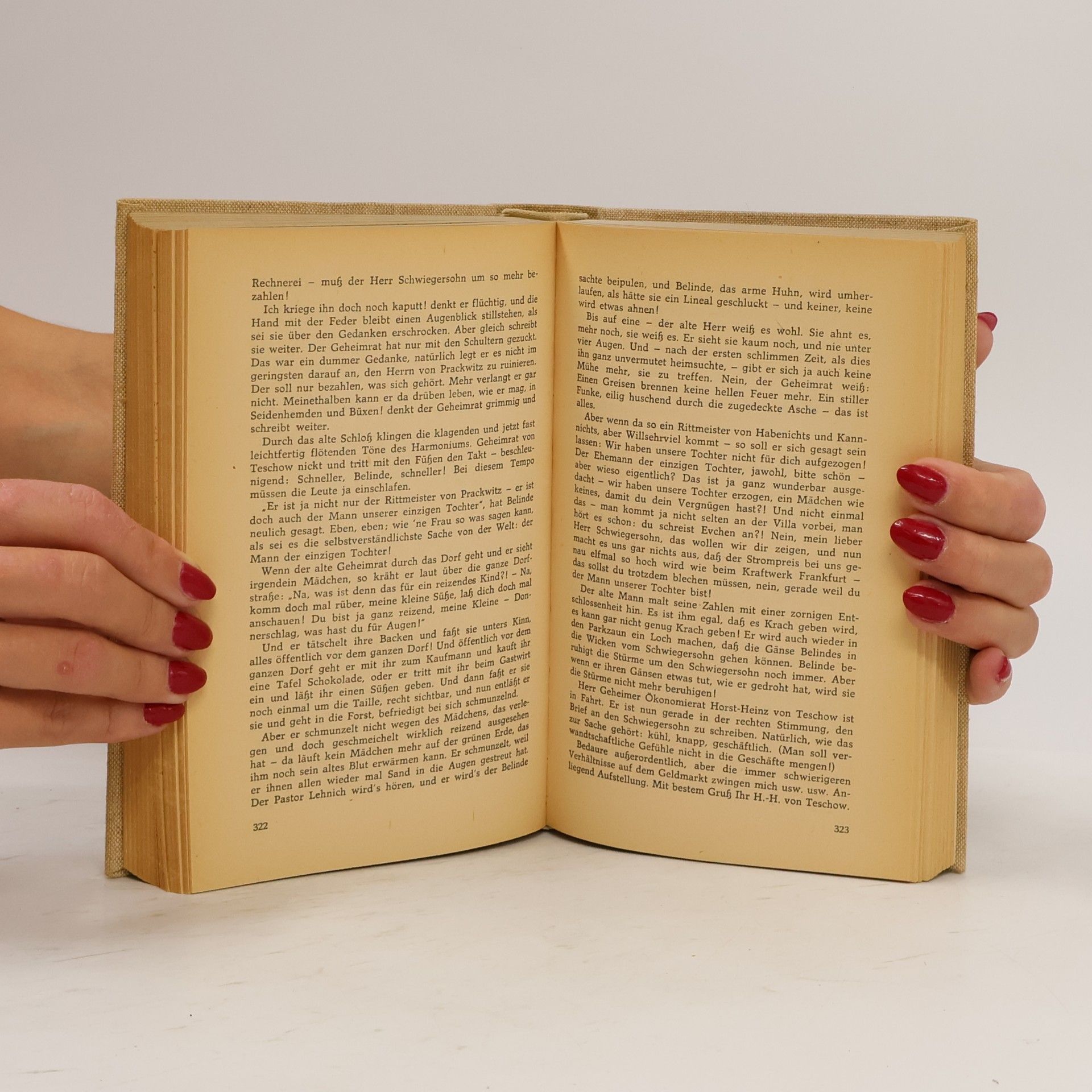 Hans Fallada Wolf unter Wölfen II.