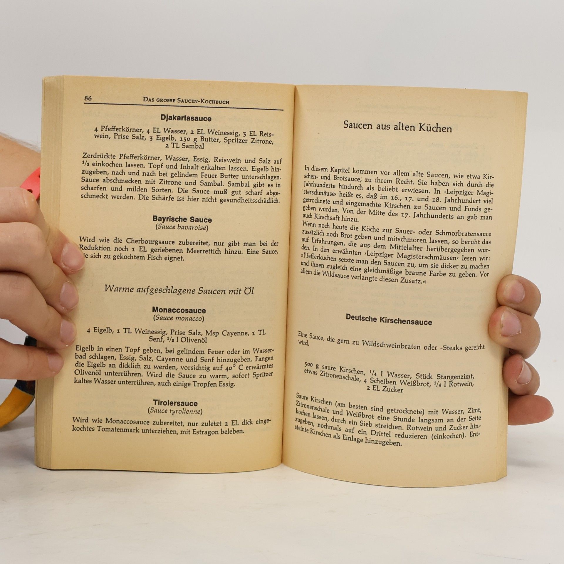 Emil Reimers Das grosse Saucen-Kochbuch