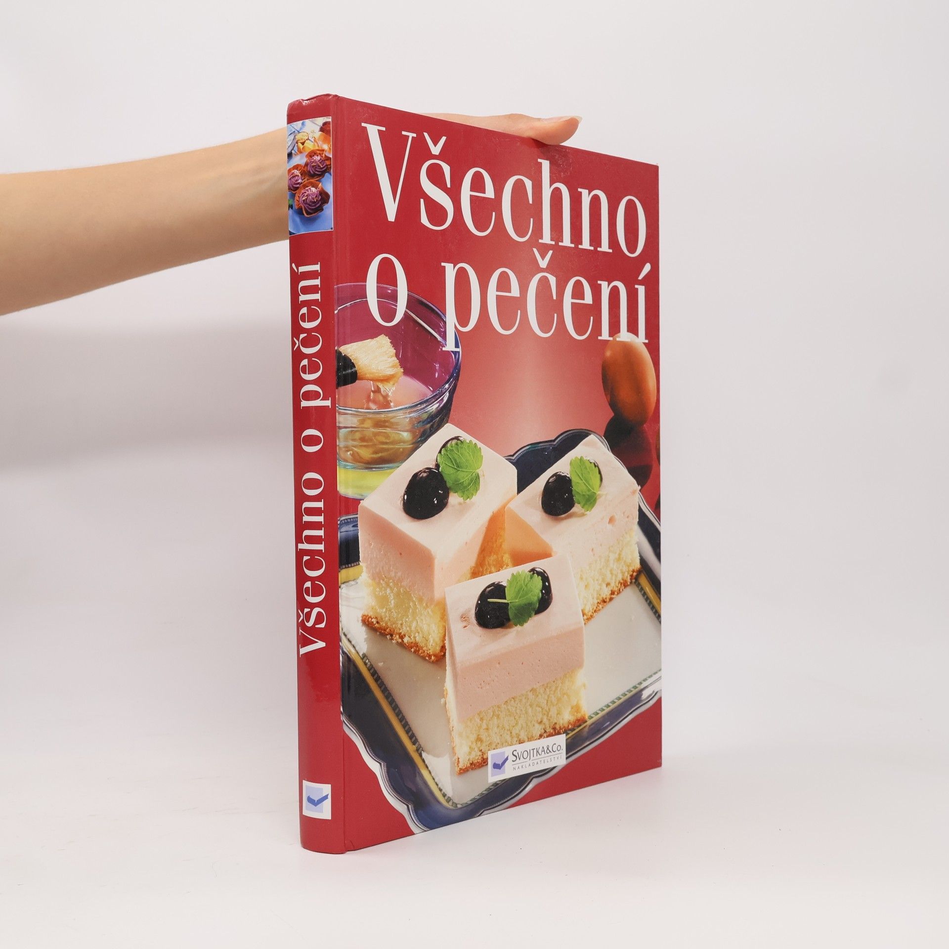 Collectif d'auteurs Všechno o pečení