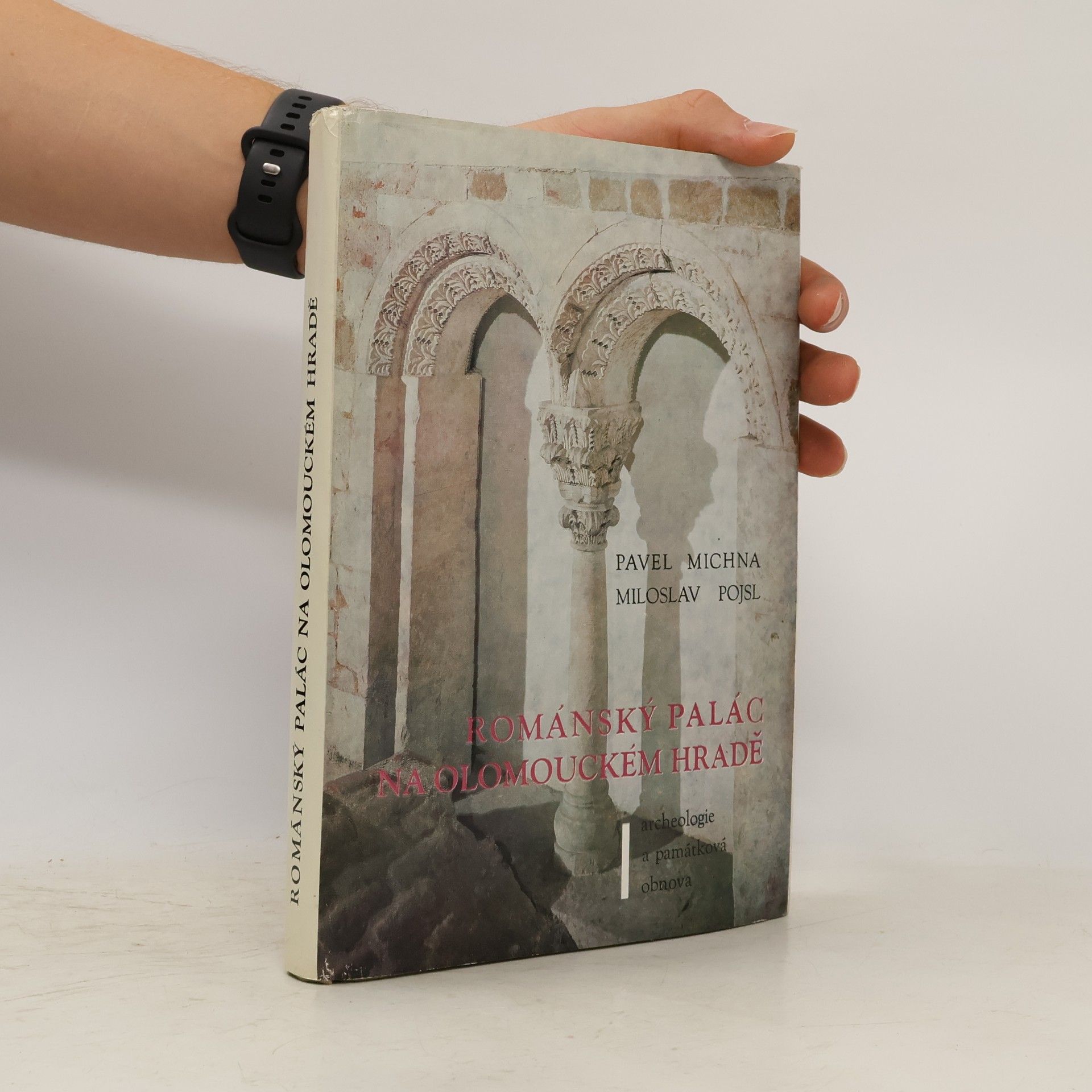Pavel Michna Románský palác na Olomouckém hradě : archeologie a památková obnova