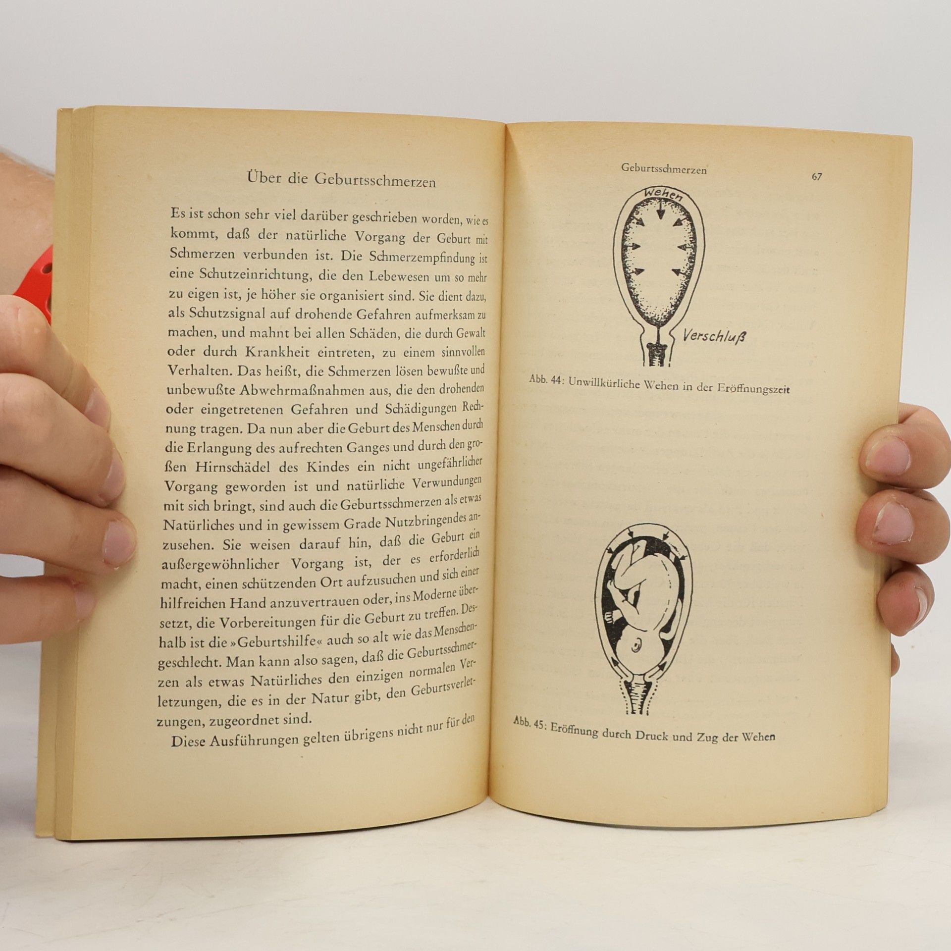 Heinrich Martius Das kleine Frauenbuch