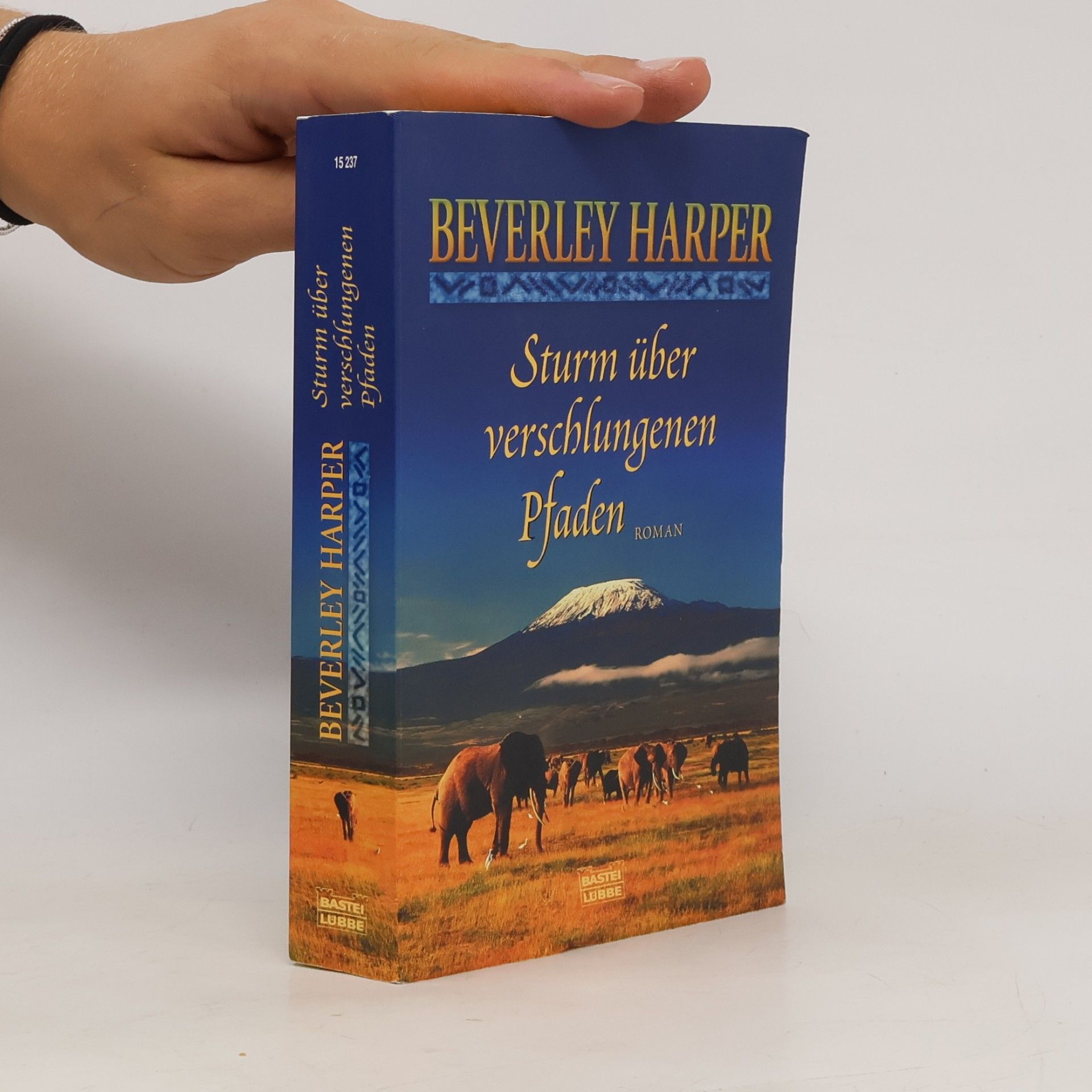 Beverley Harper Sturm über verschlungenen Pfaden