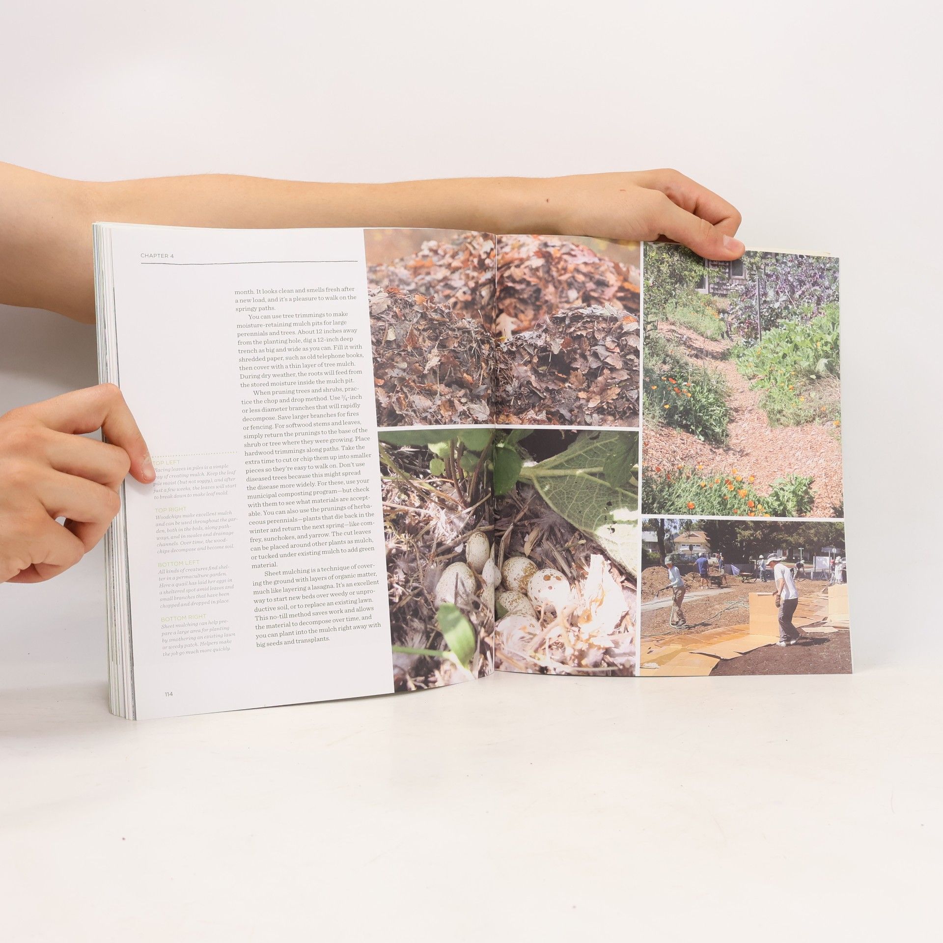 Christopher Shein The Vegetable Gardener's Guide to Permaculture