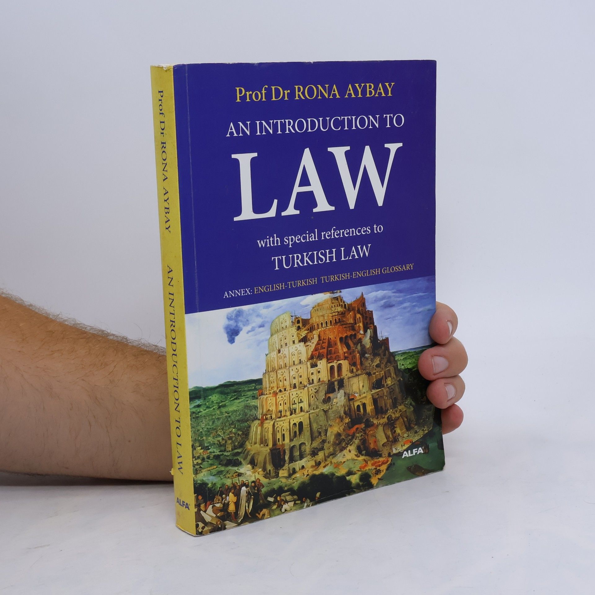 Rona Aybay An Introduction To Law