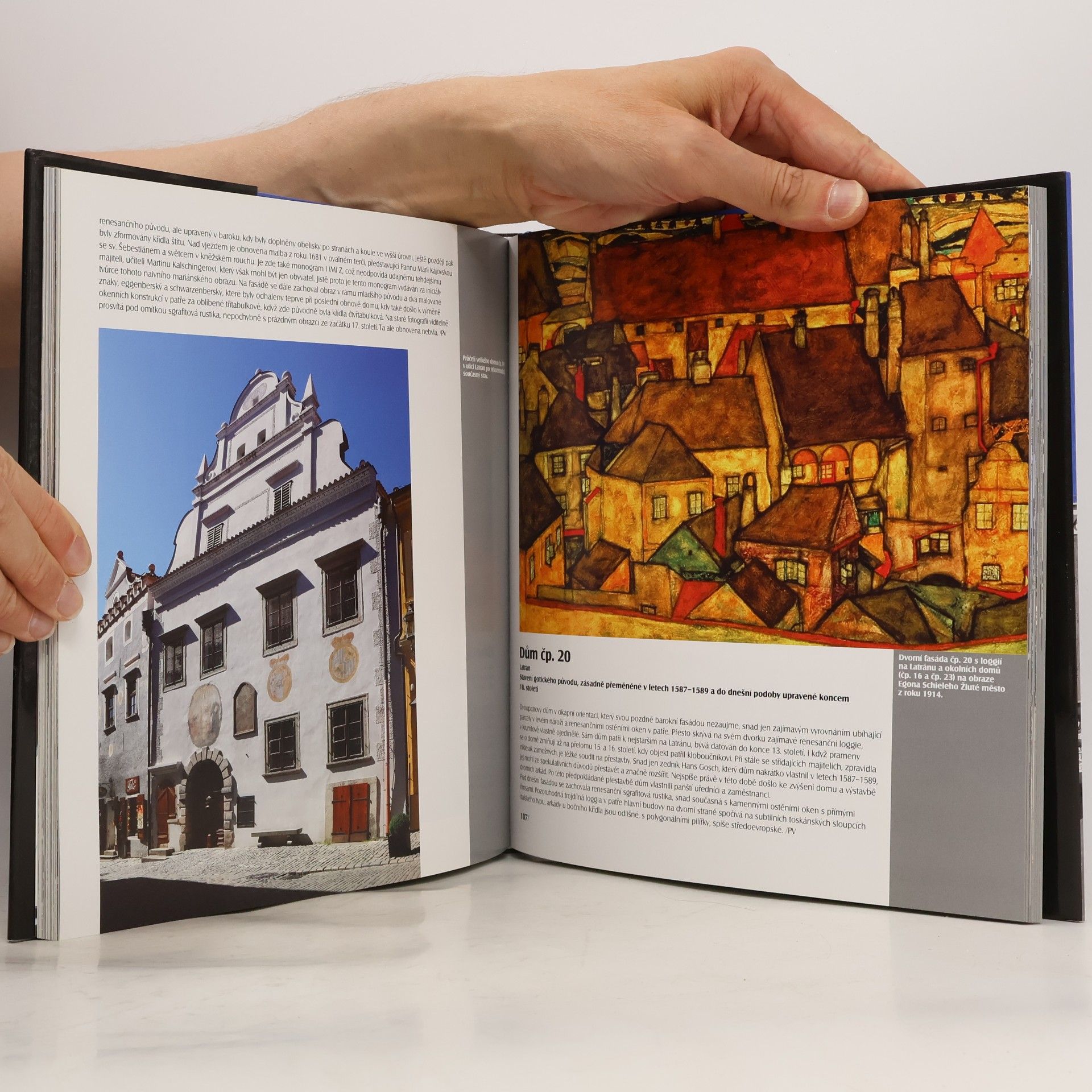 Pavel Vlček Český Krumlov - Historické centrum