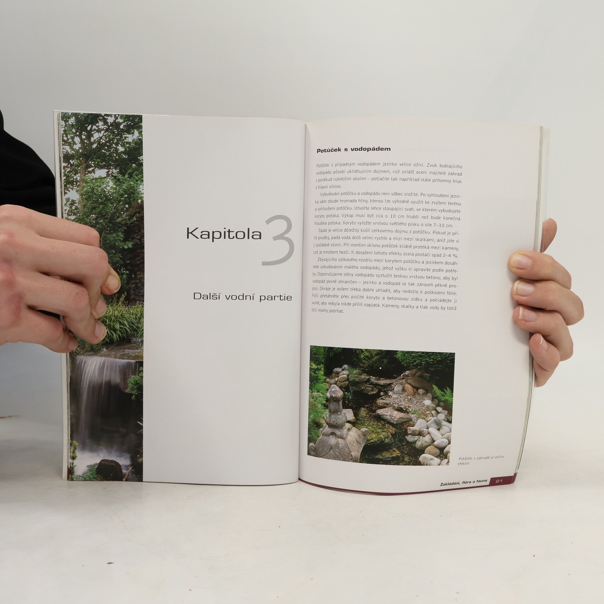 Marcel Nijland Zahradní jezírko : zakládání, flóra a fauna