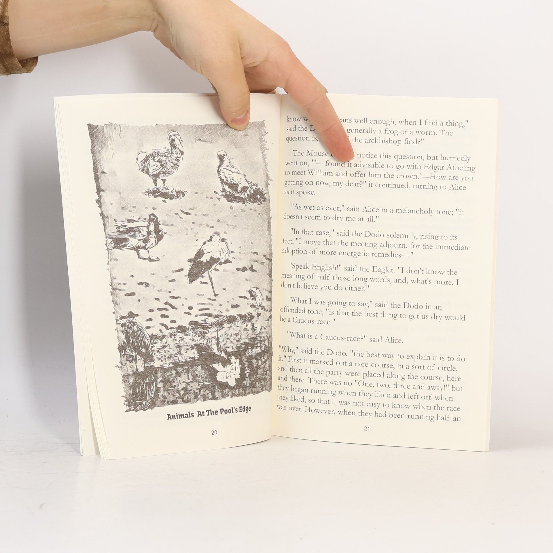 Lewis Carroll Alice's Adventures In Wonderland
