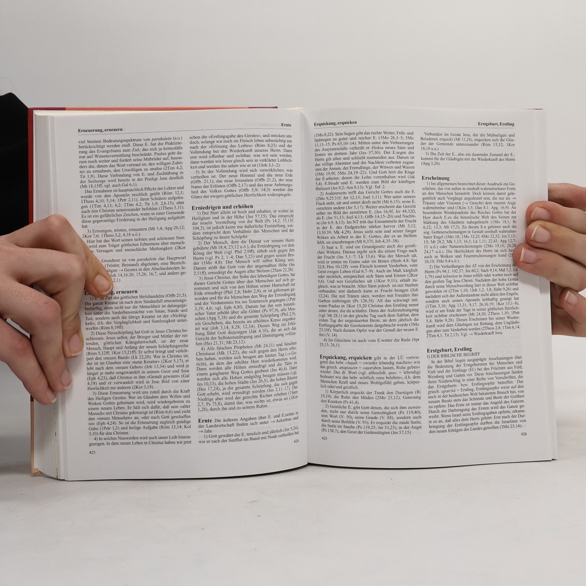 Fritz Rienecker Lexikon zur Bibel.