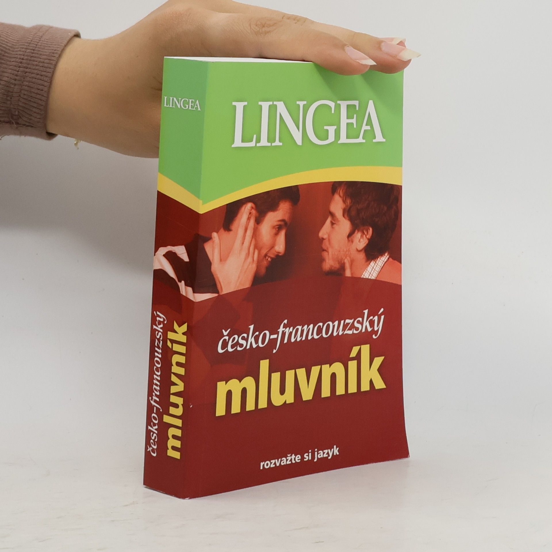 Autorenkollektiv Česko-francouzský mluvník