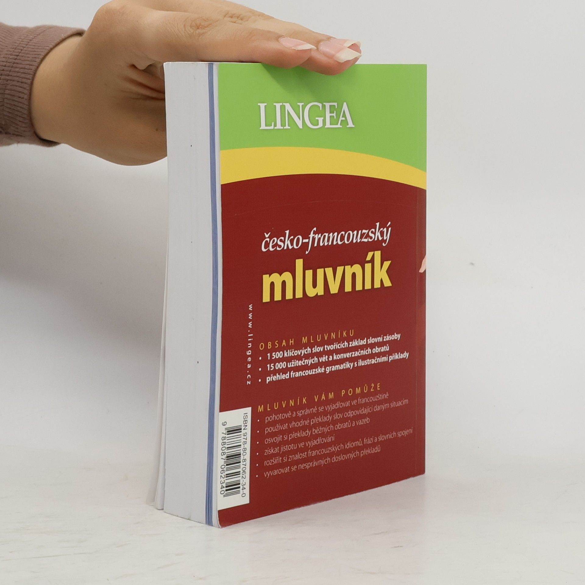 Auteurscollectief Česko-francouzský mluvník