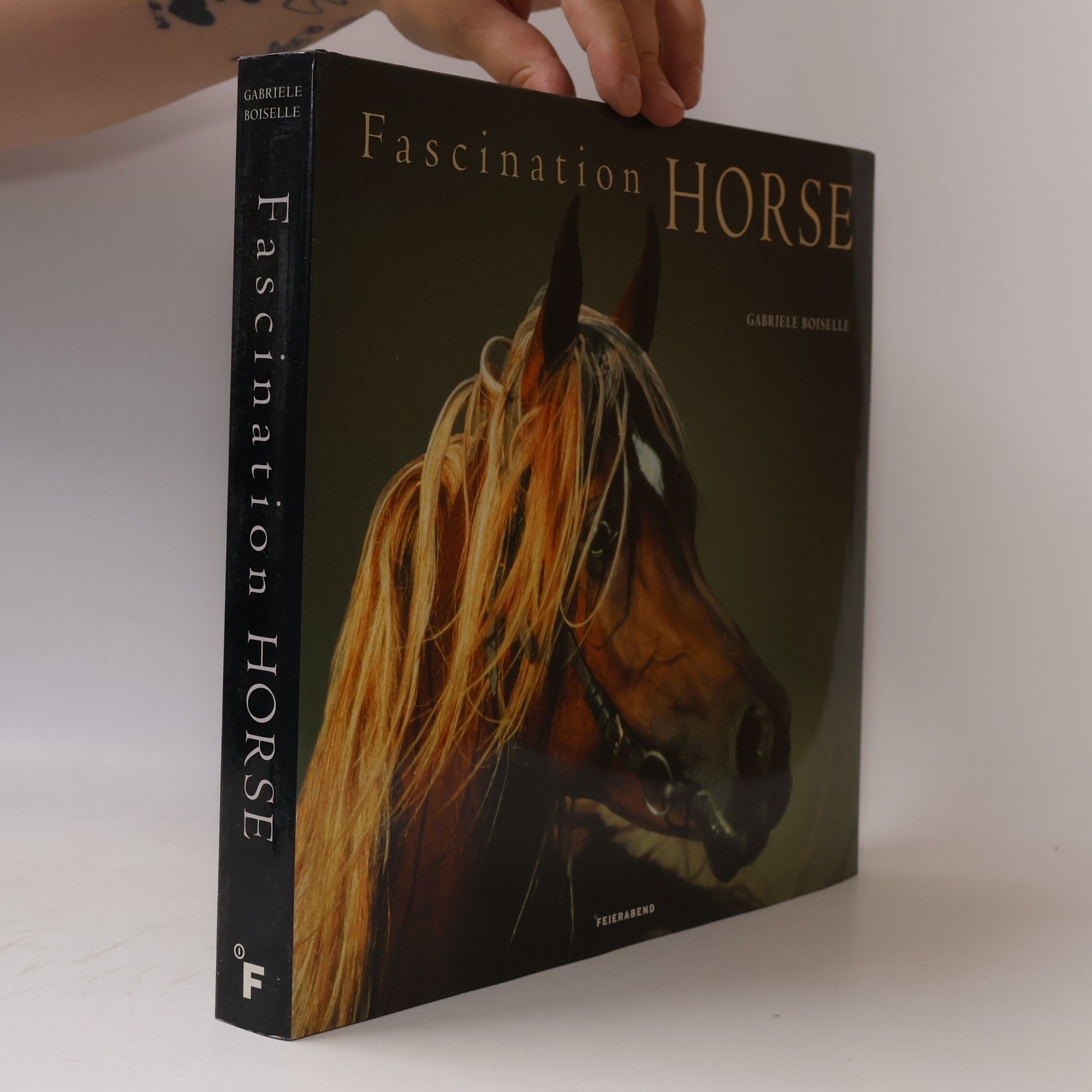 Gabriele Boiselle Fascination horse