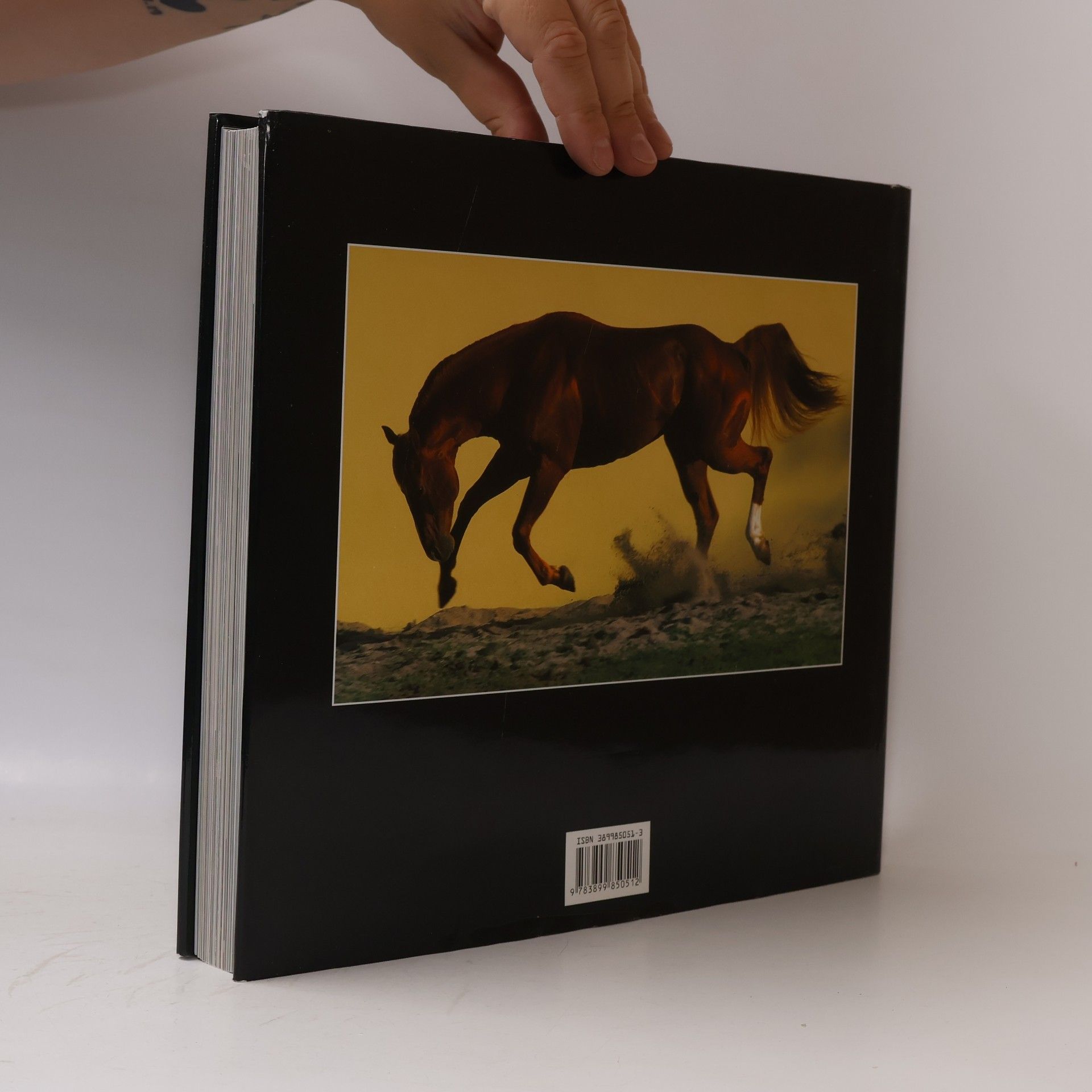 Gabriele Boiselle Fascination horse