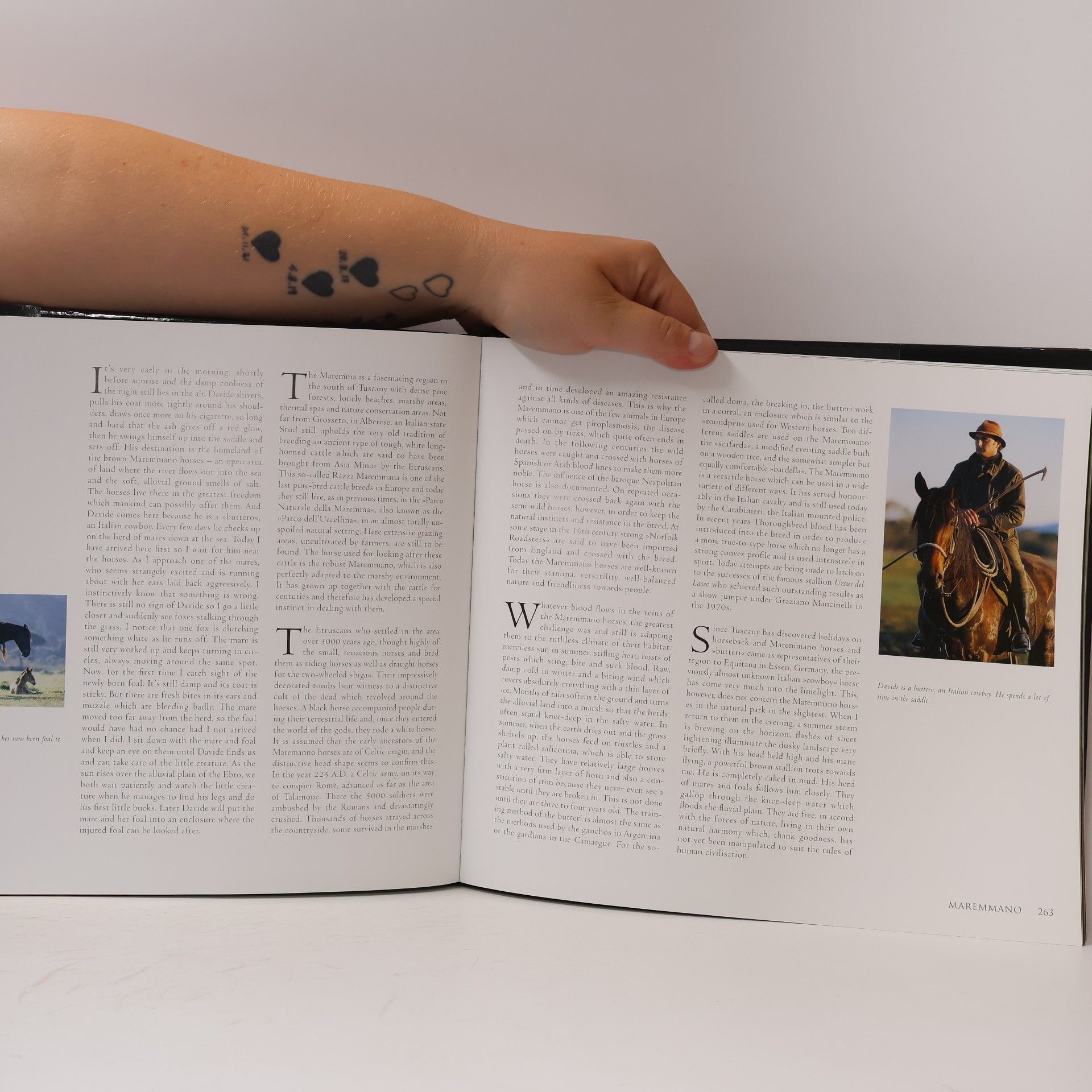 Gabriele Boiselle Fascination horse