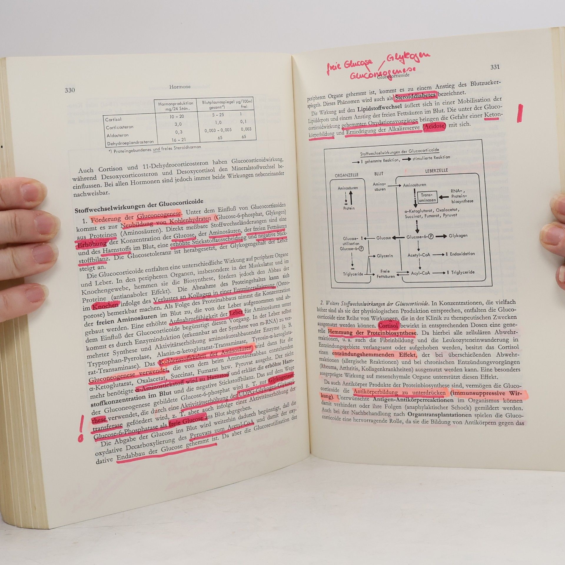 Eckhart Buddecke Grundriss der Biochemie