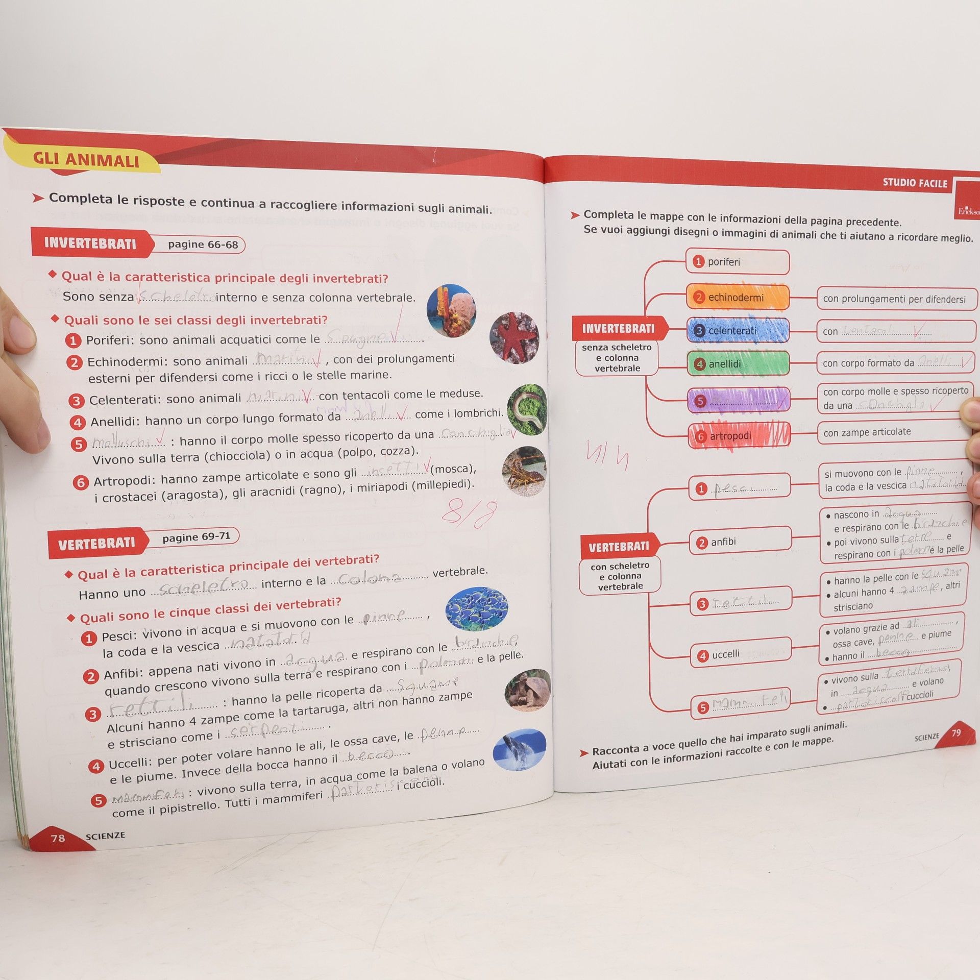 Gloria Ragni Scienze e Tecnologia 4