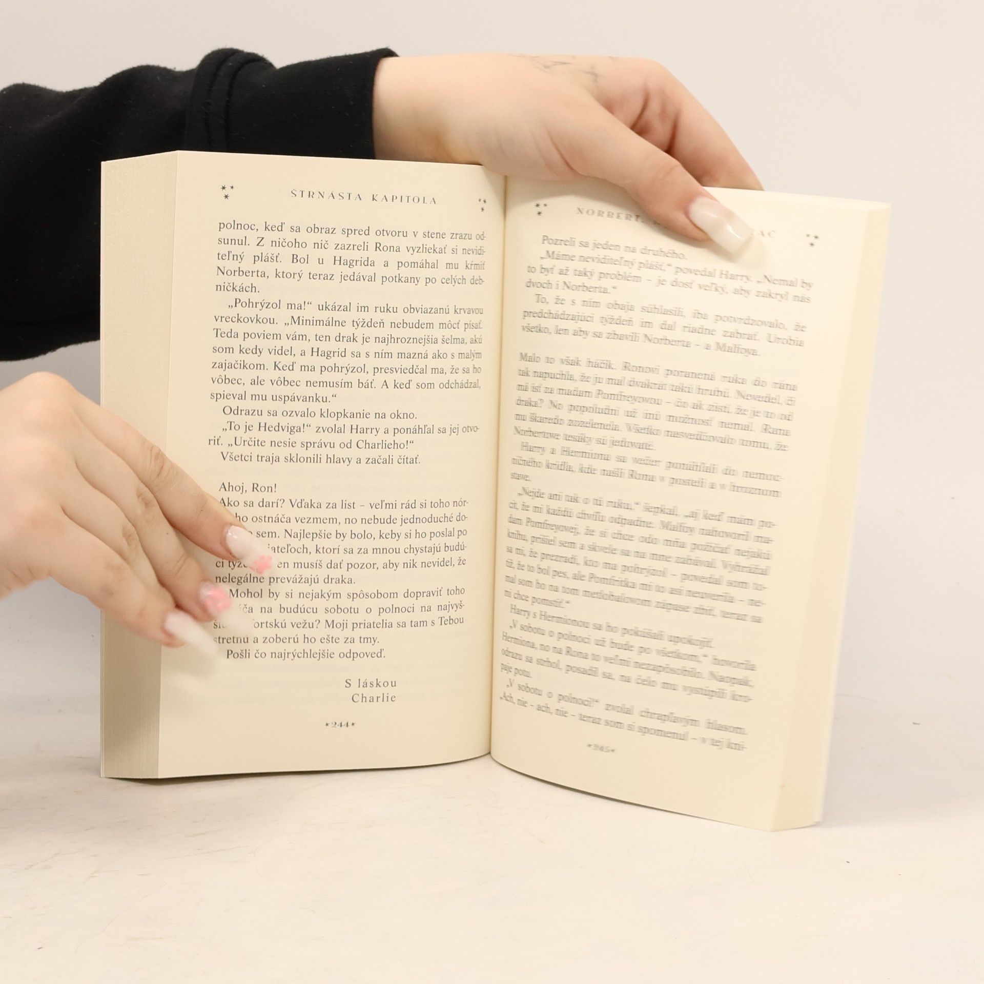 J. K. Rowling Harry Potter a kameň mudrcov