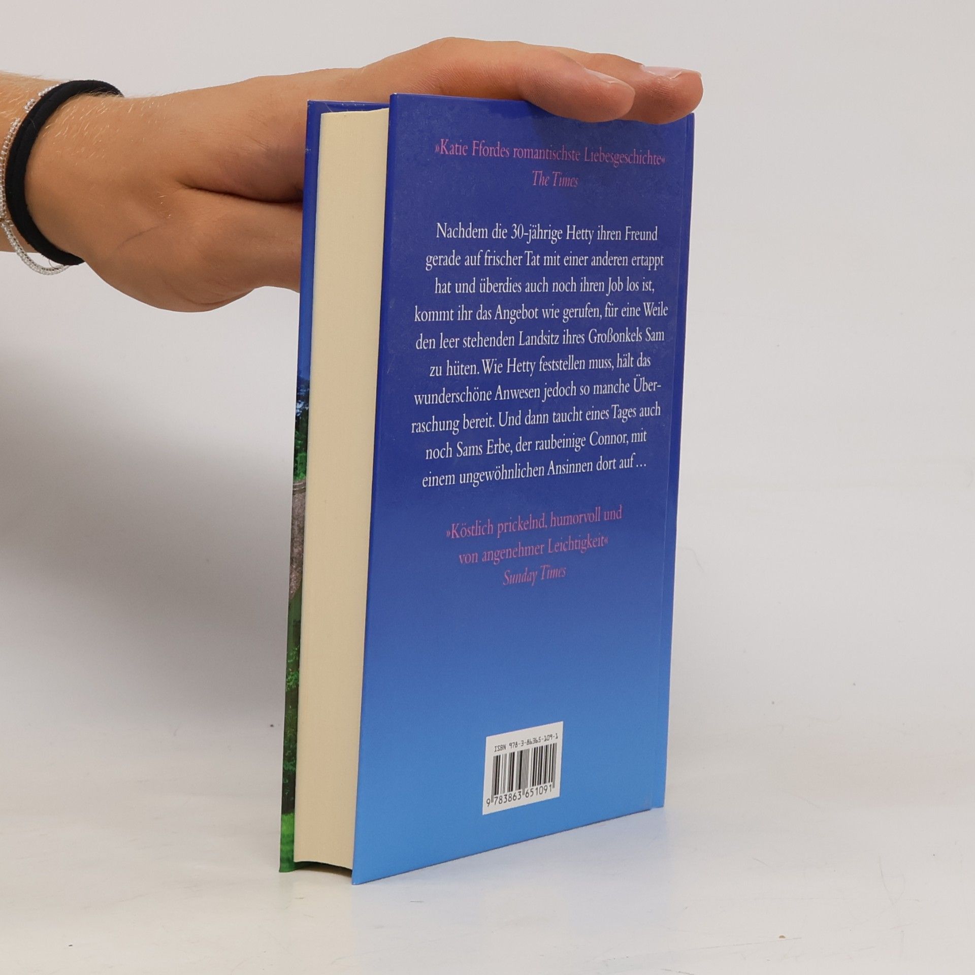 Katie Fforde Eine ungewöhnliche Begegnung