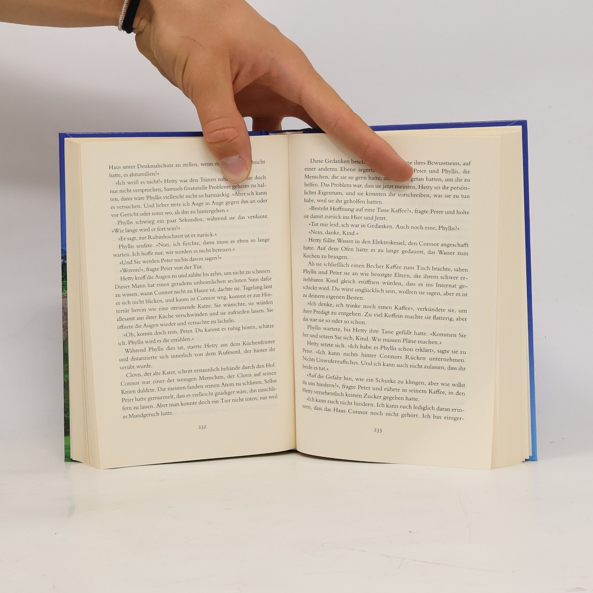 Katie Fforde Eine ungewöhnliche Begegnung