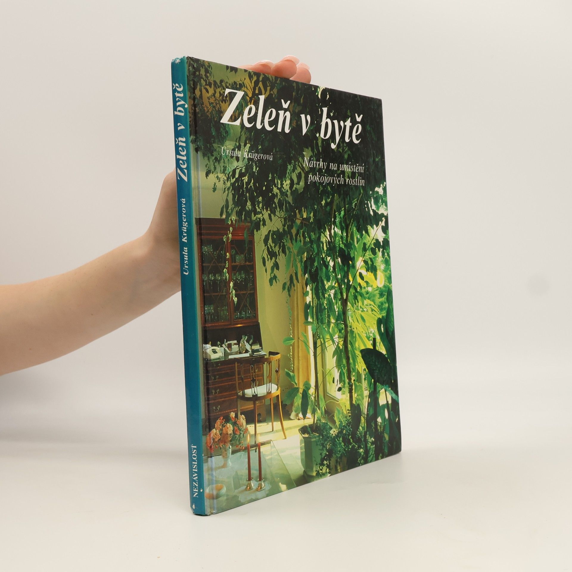 Zeleň v bytě. Návrhy na umístění pokojových rostlin