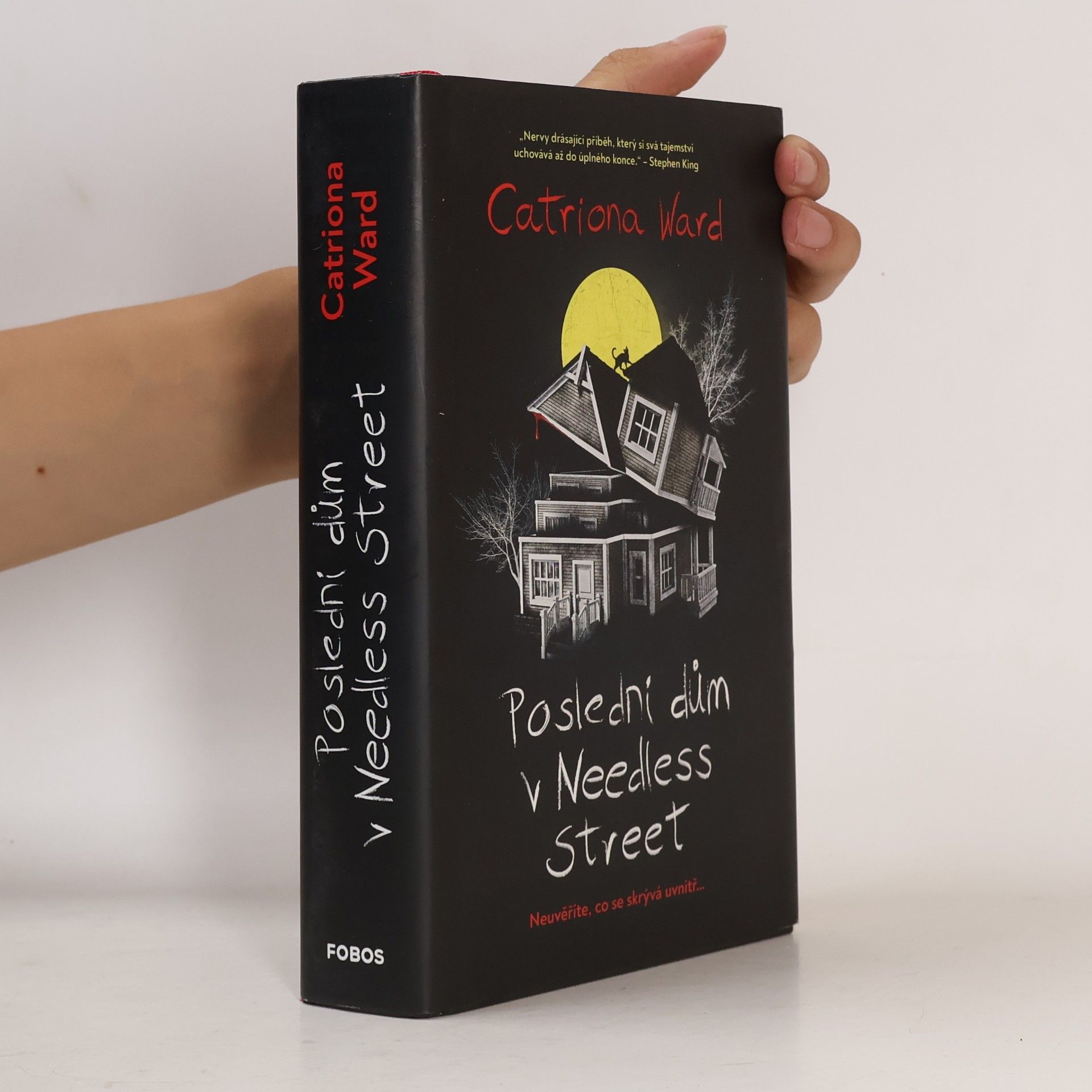 Catriona Ward Poslední dům v Needless Street